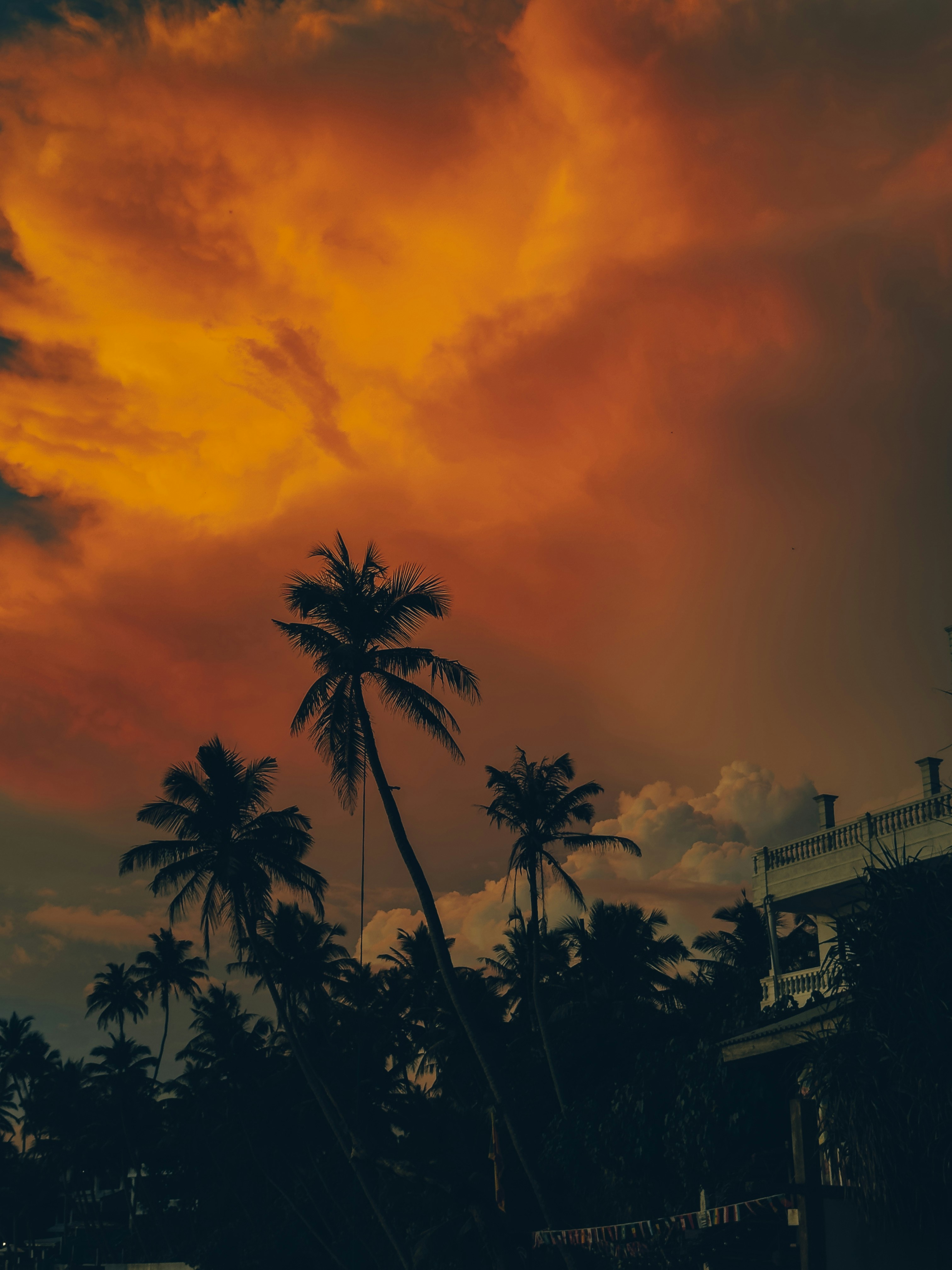 Photo by batag_