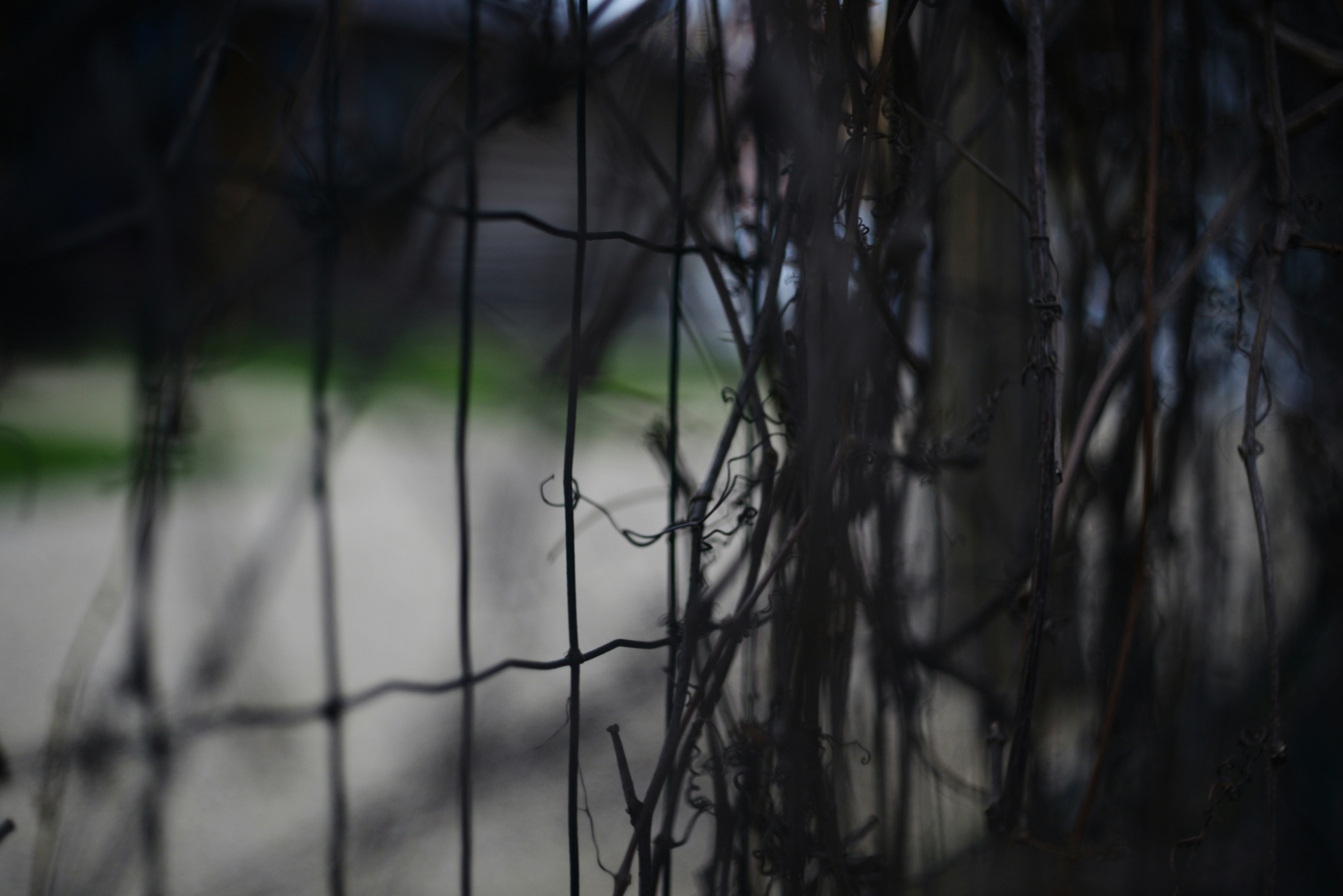 Photo by cherstve_pechivo