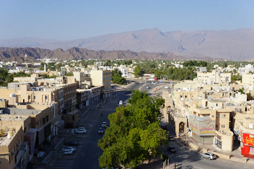 A view of a city with mountains in the background