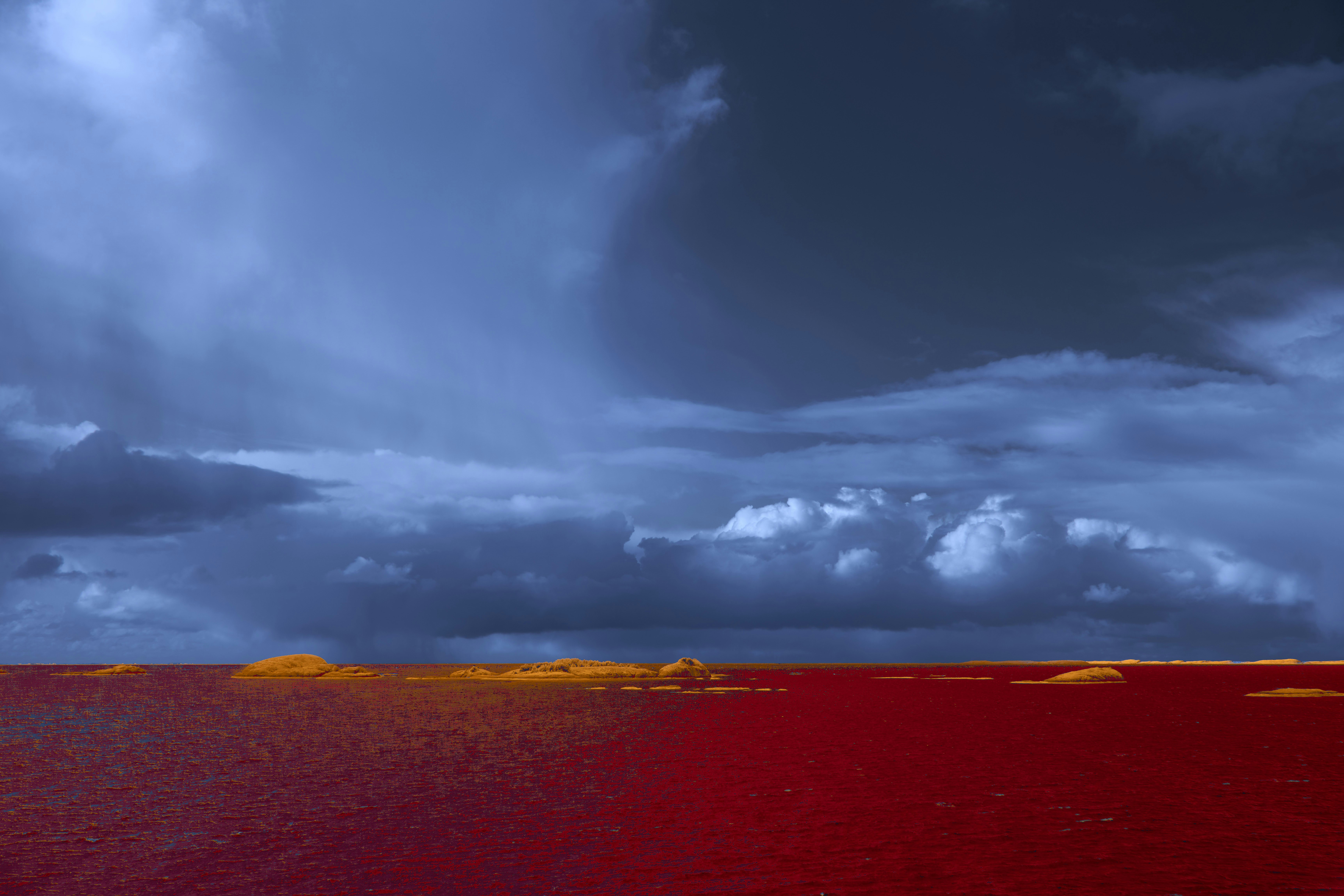 Photo by wolfgang_hasselmann