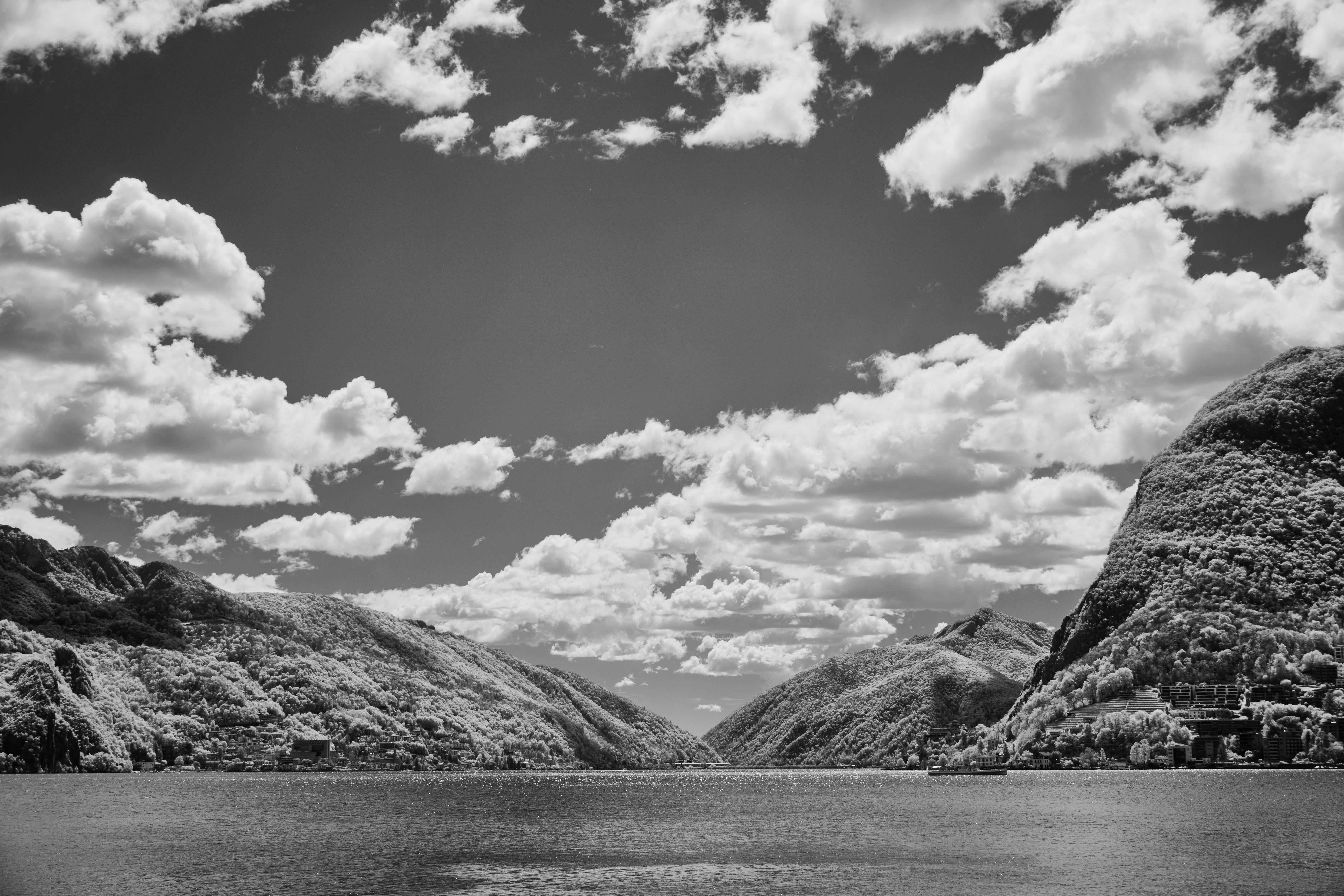 Photo by wolfgang_hasselmann