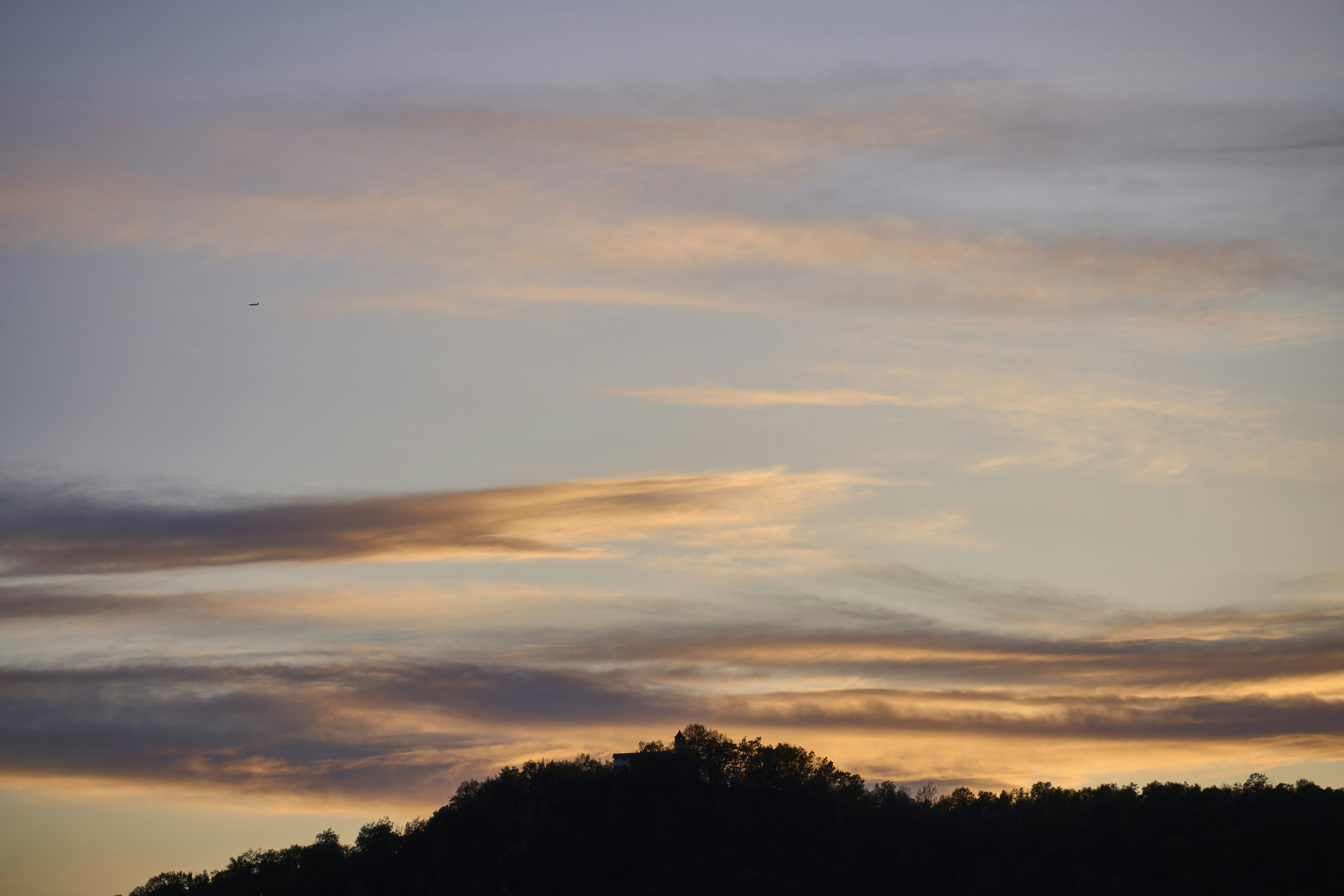 Photo by wolfgang_hasselmann