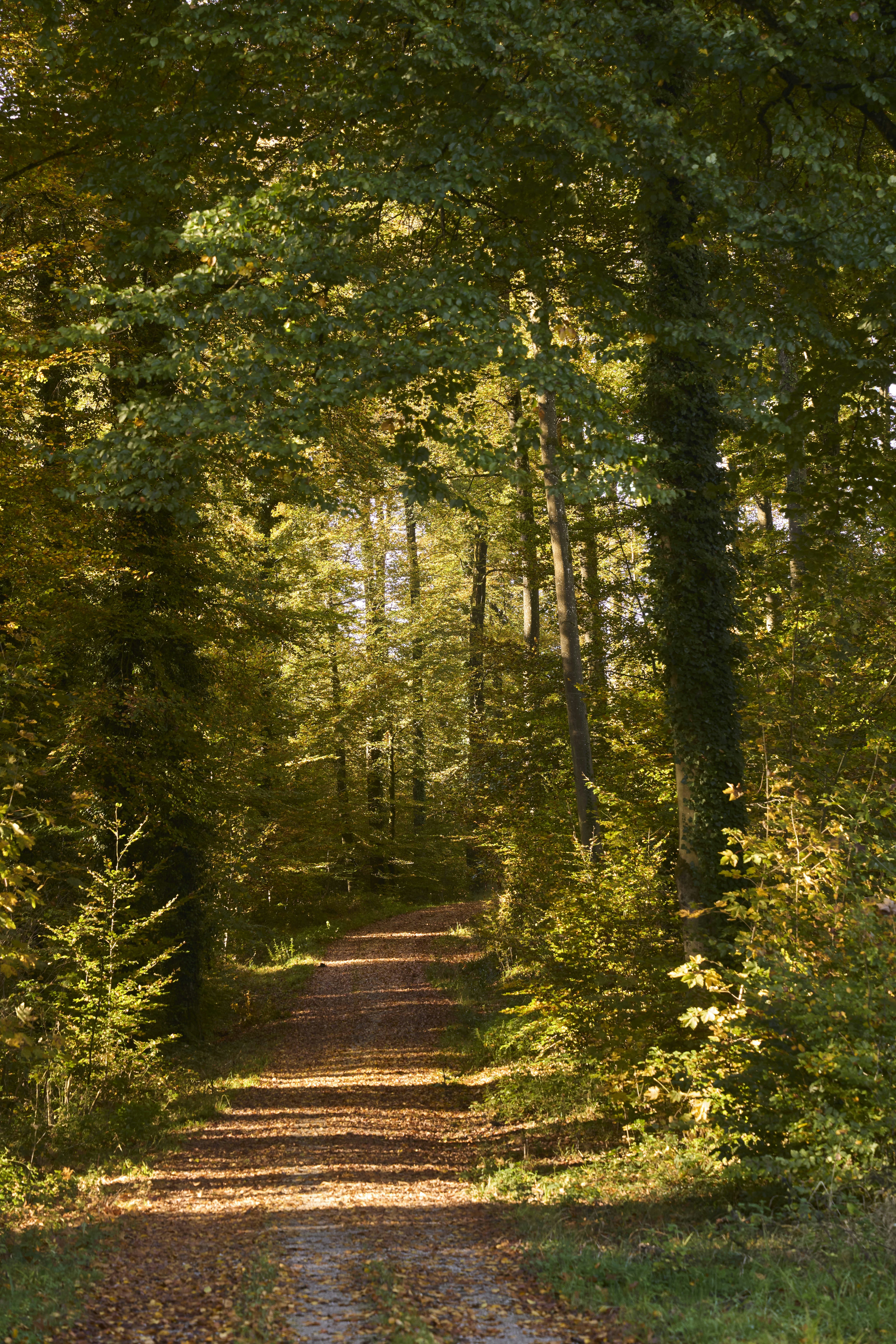 Photo by wolfgang_hasselmann