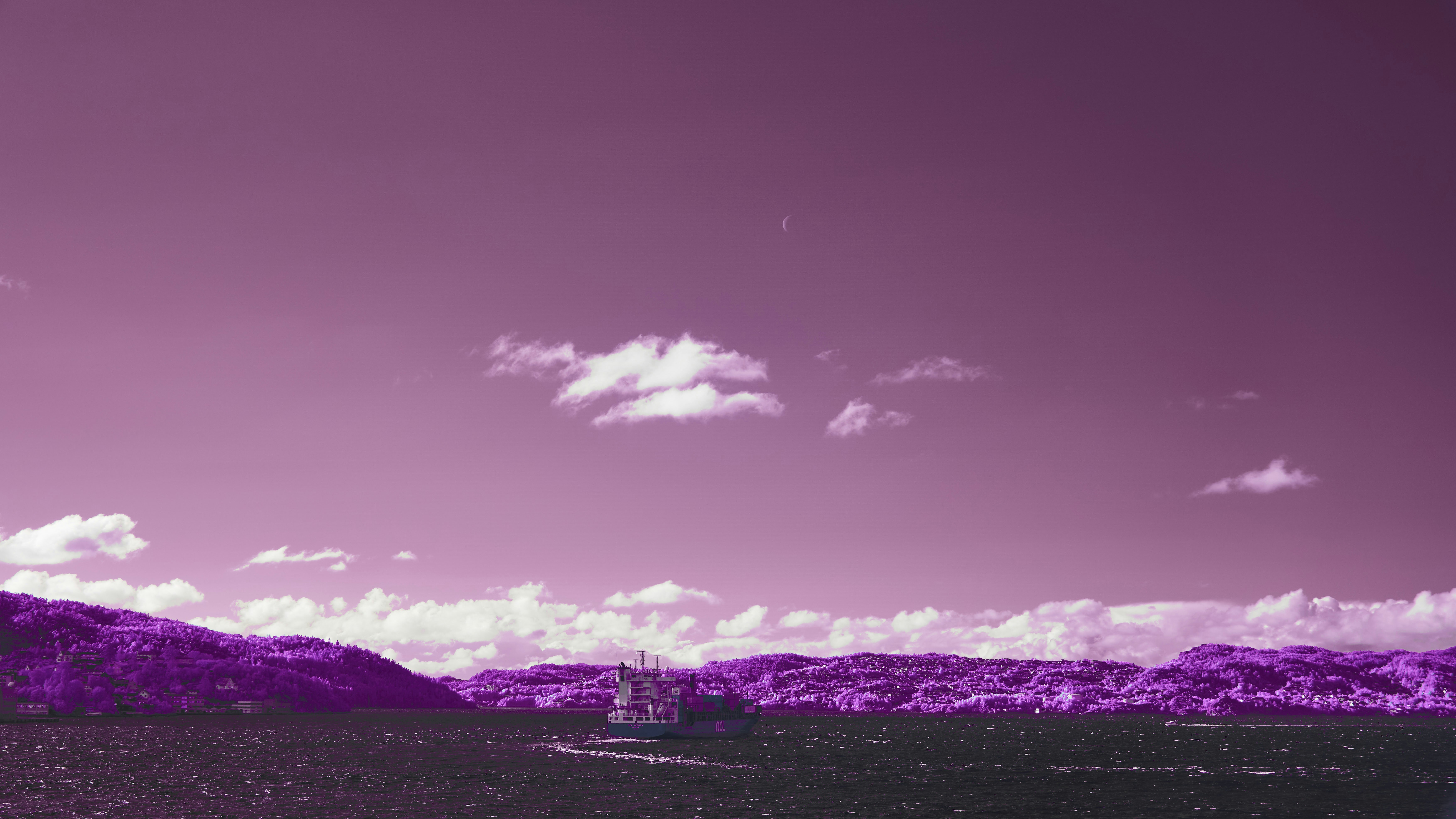 Photo by wolfgang_hasselmann