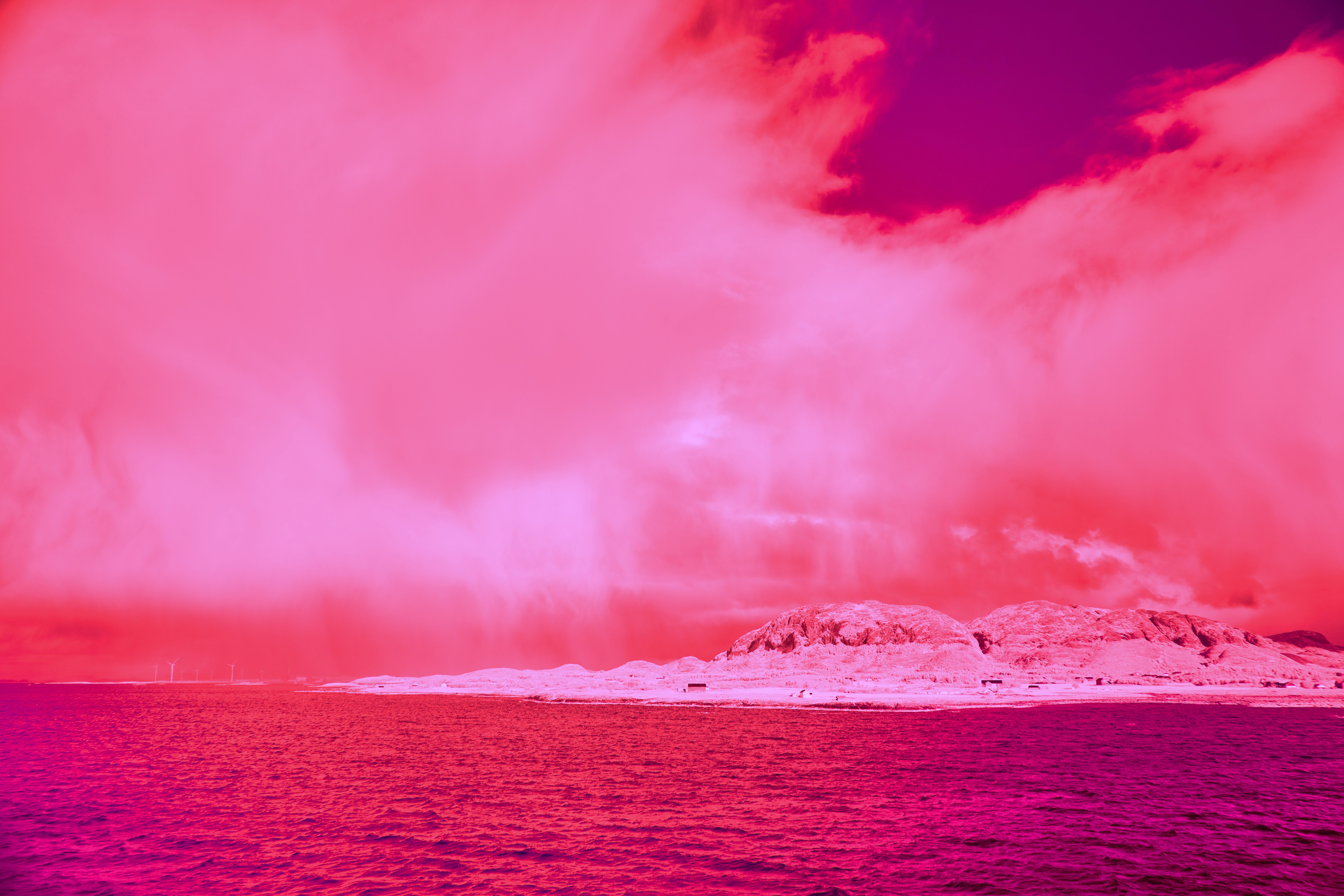 Photo by wolfgang_hasselmann