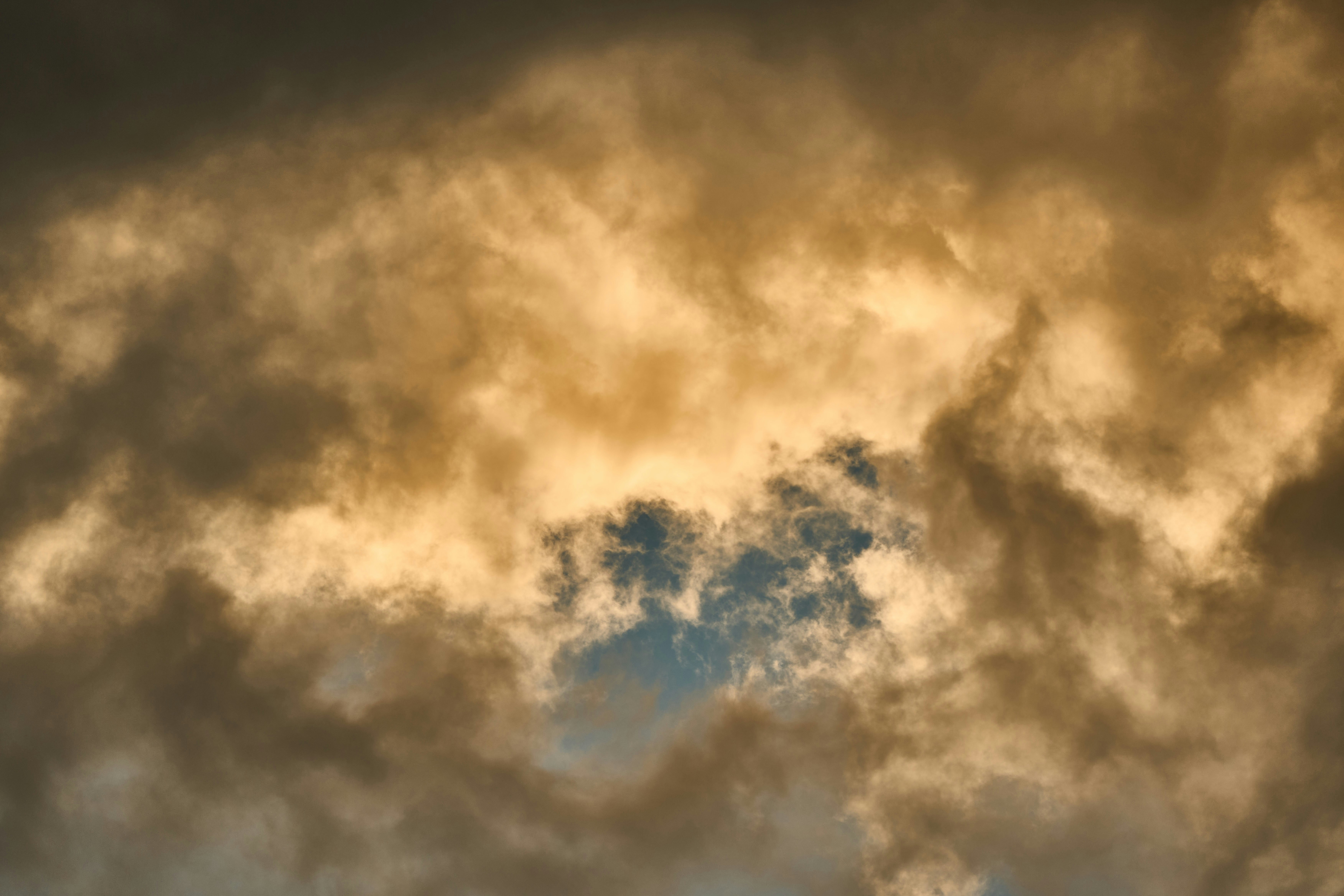 Photo by wolfgang_hasselmann