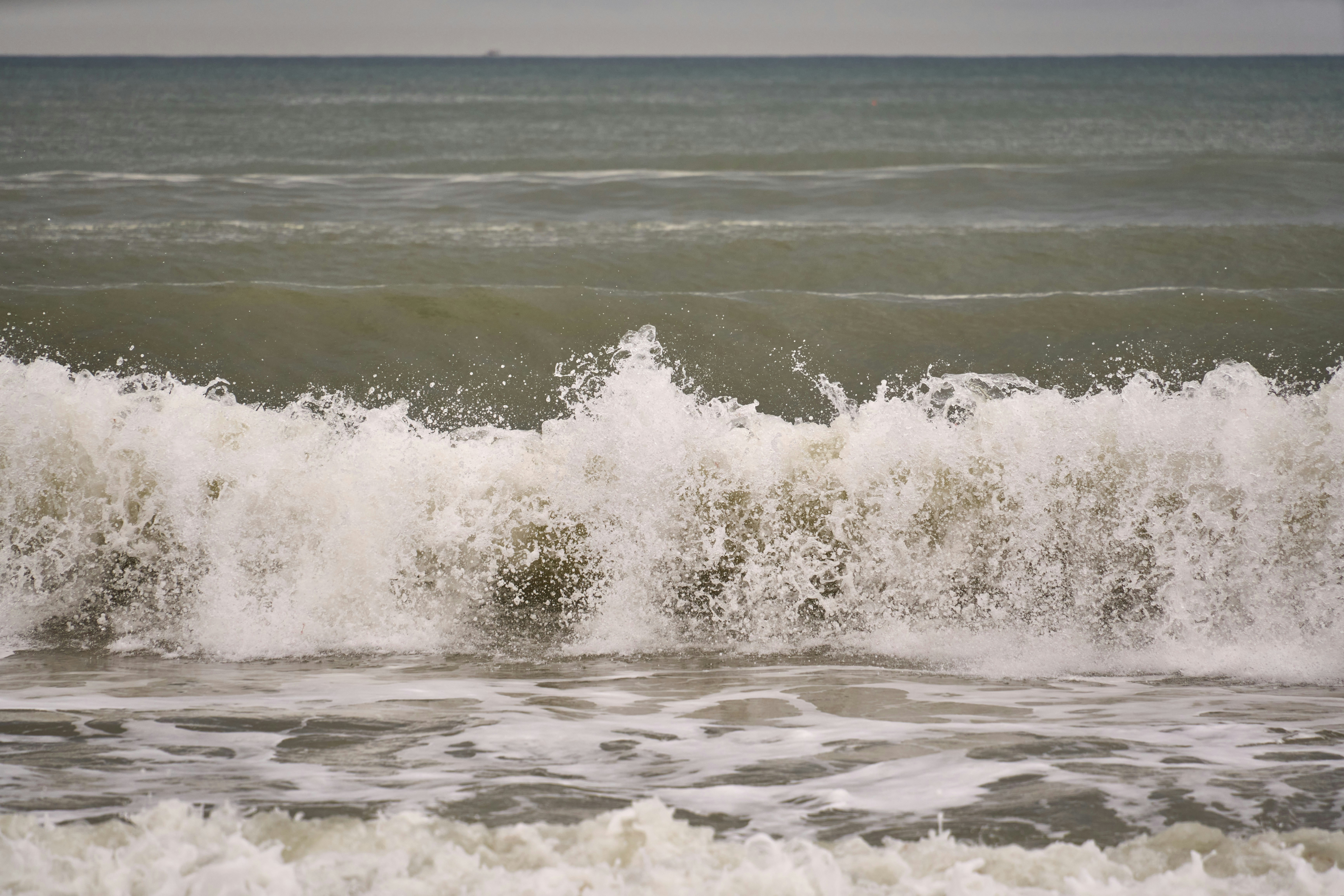 Photo by wolfgang_hasselmann