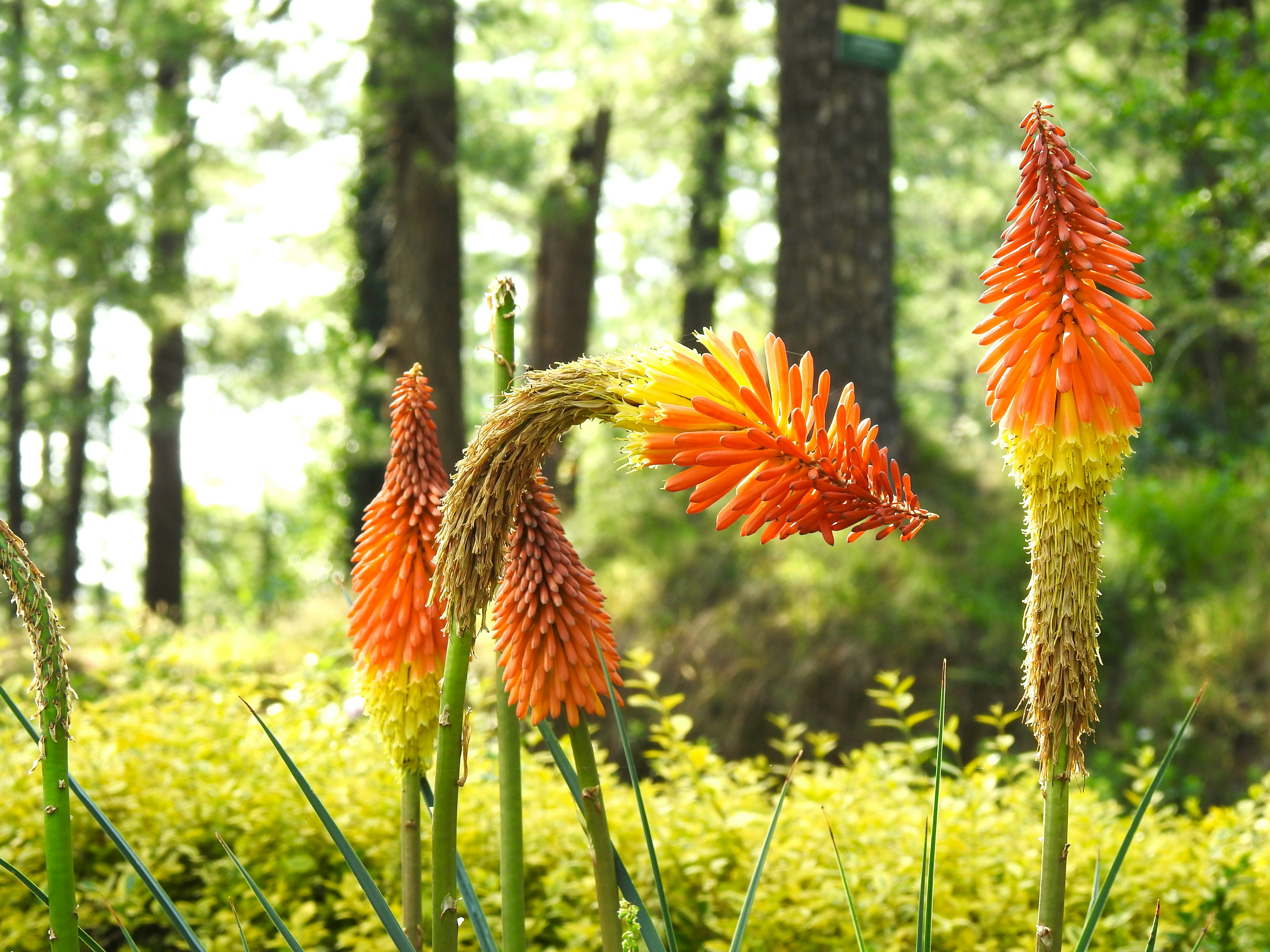 Photo by aditipanatu95