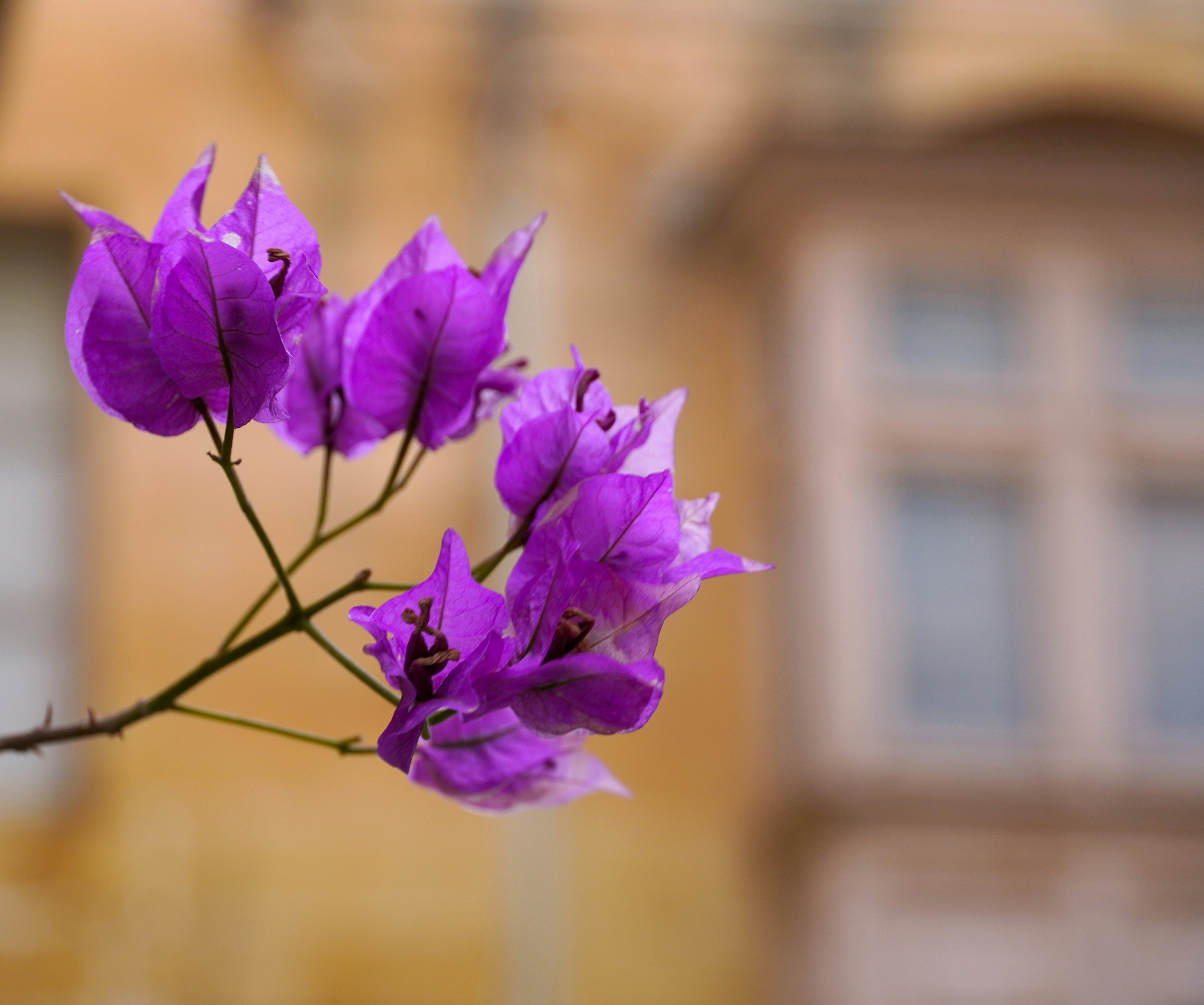 Photo by stotzer