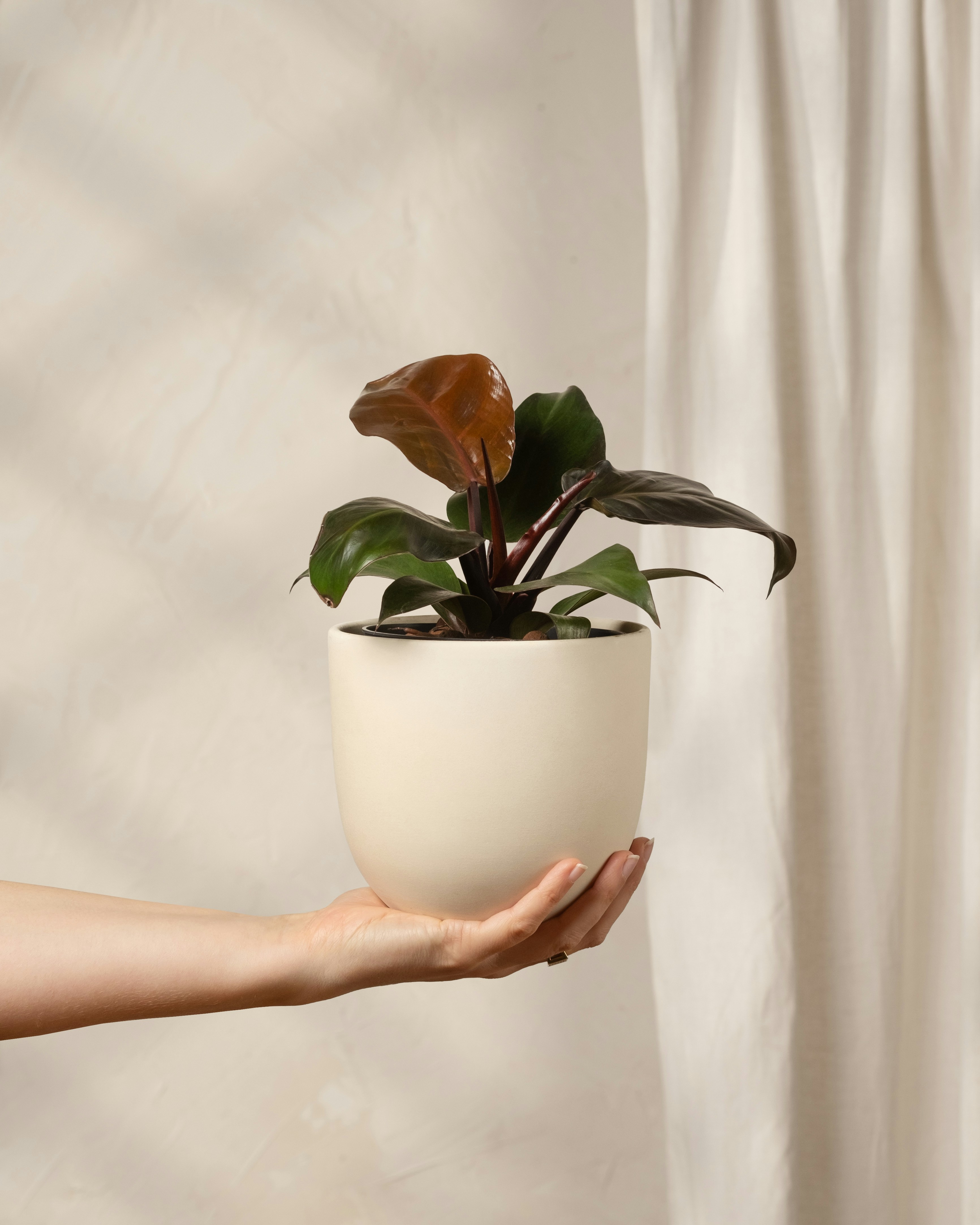 Photo by feeypflanzen