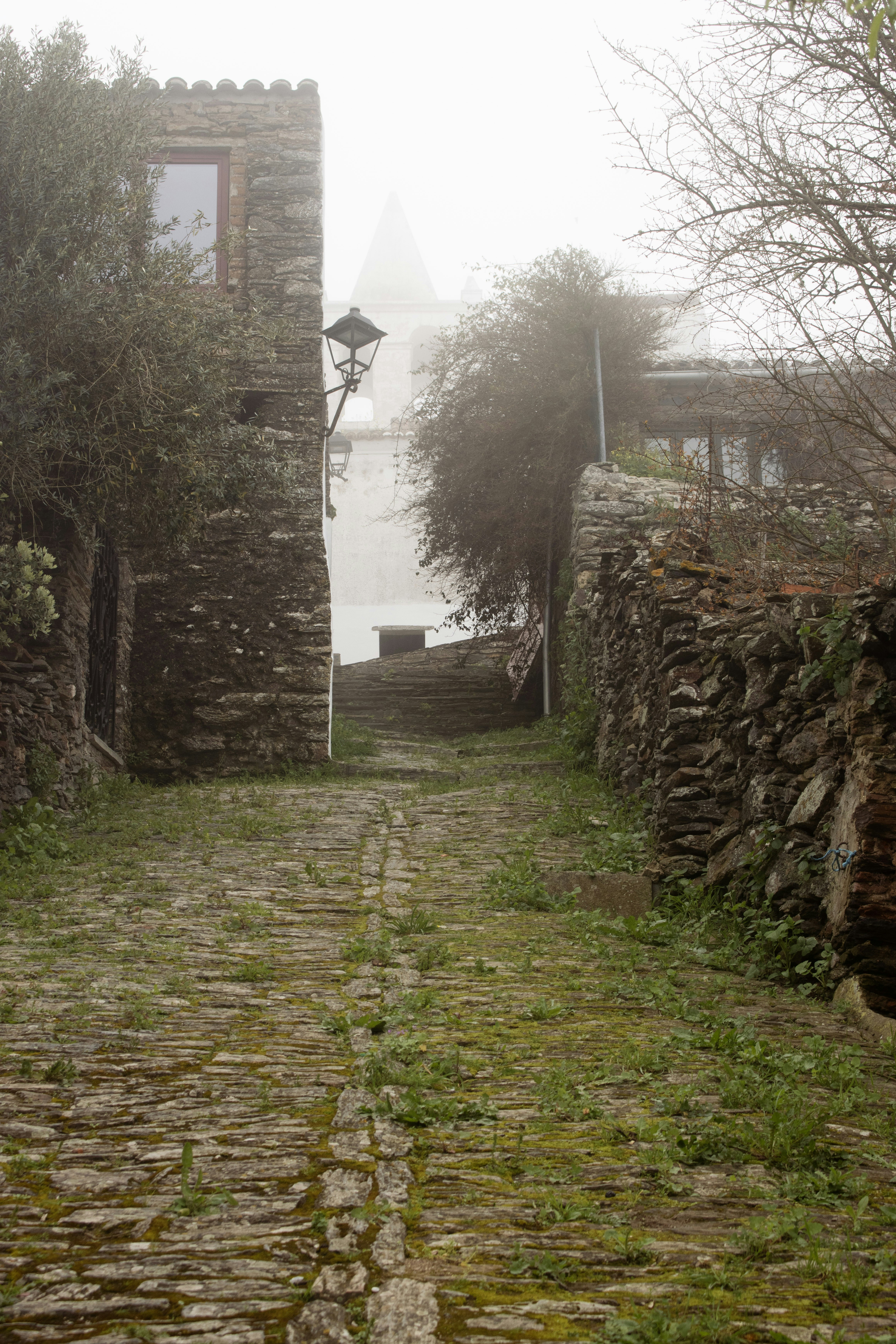 Photo by daniela_curly