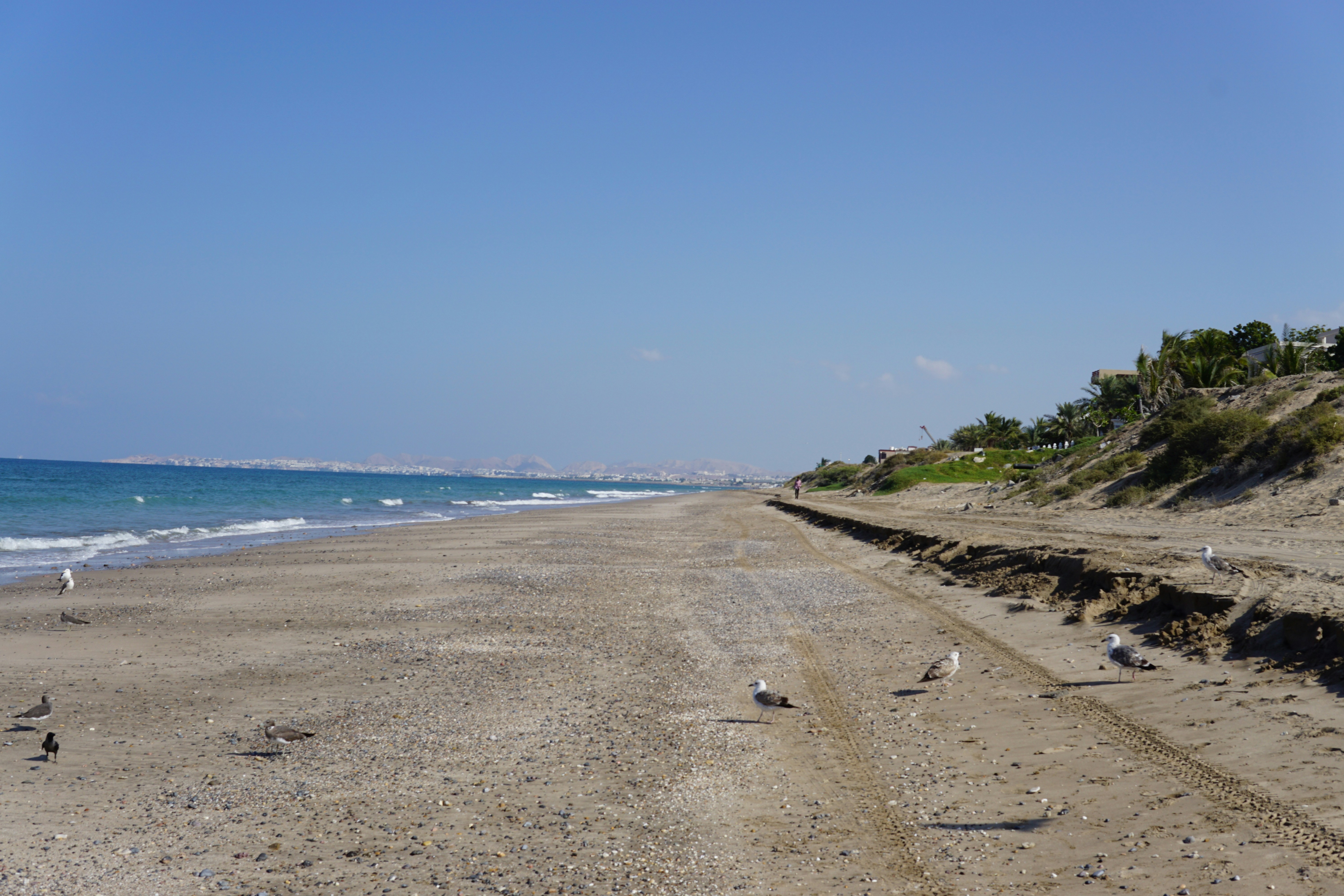 A sandy beach next to the ocean under a blue sky