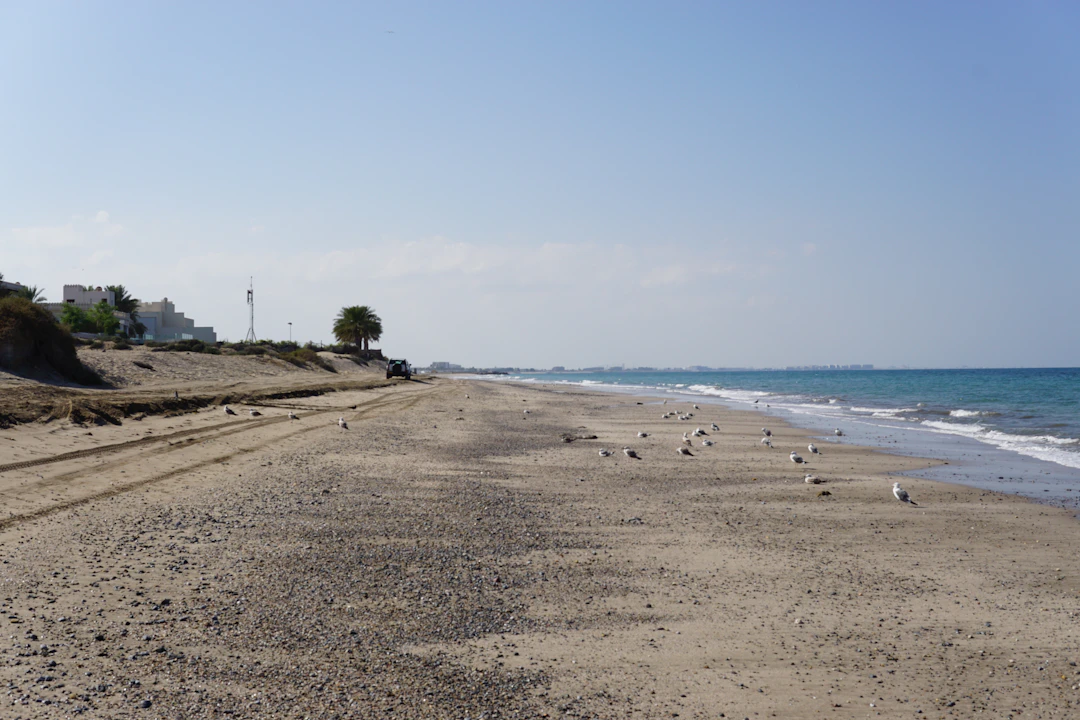 Salalah Luxury Travel Itinerary: 6 Days of Premium Oman