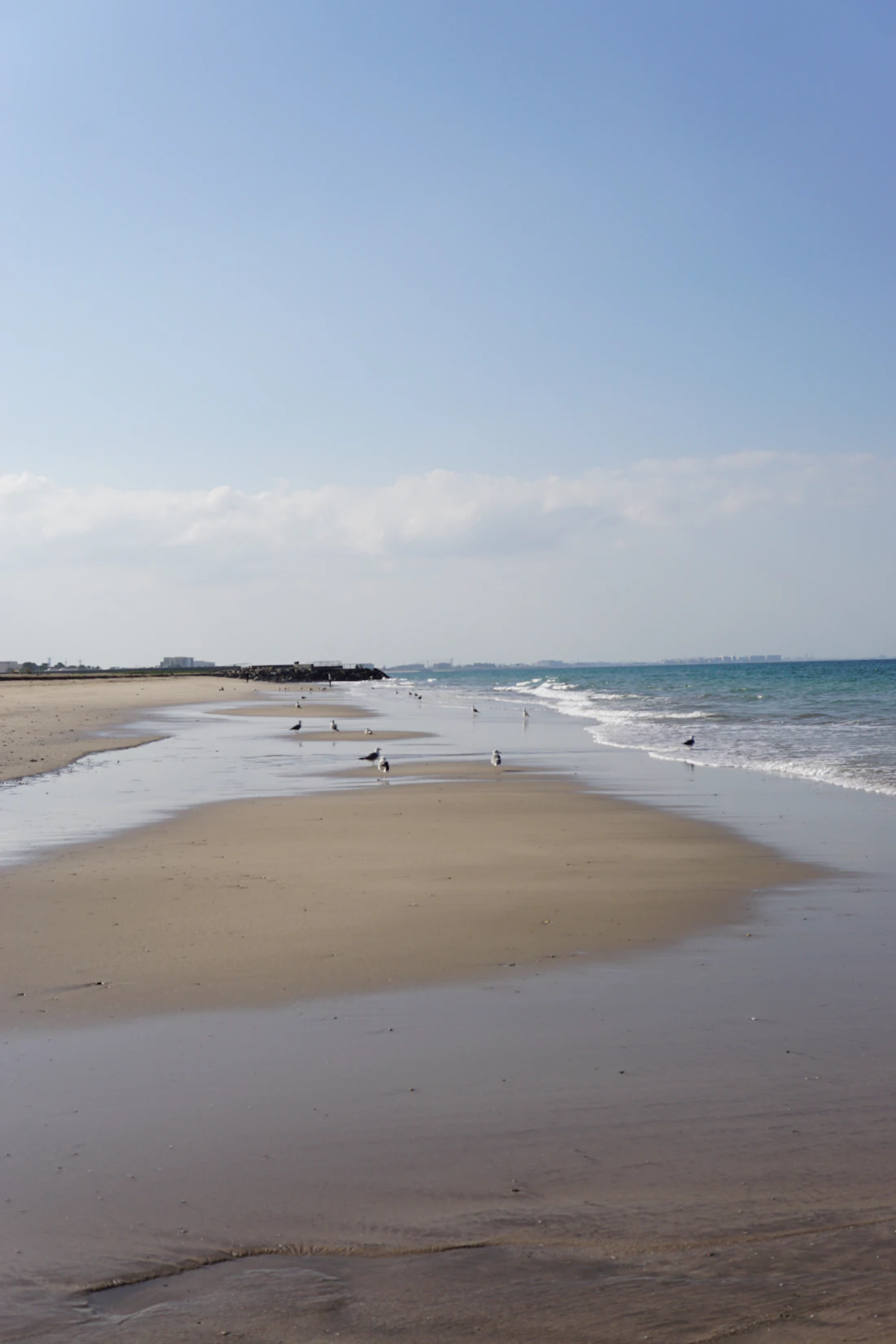 Ras al Jinz
