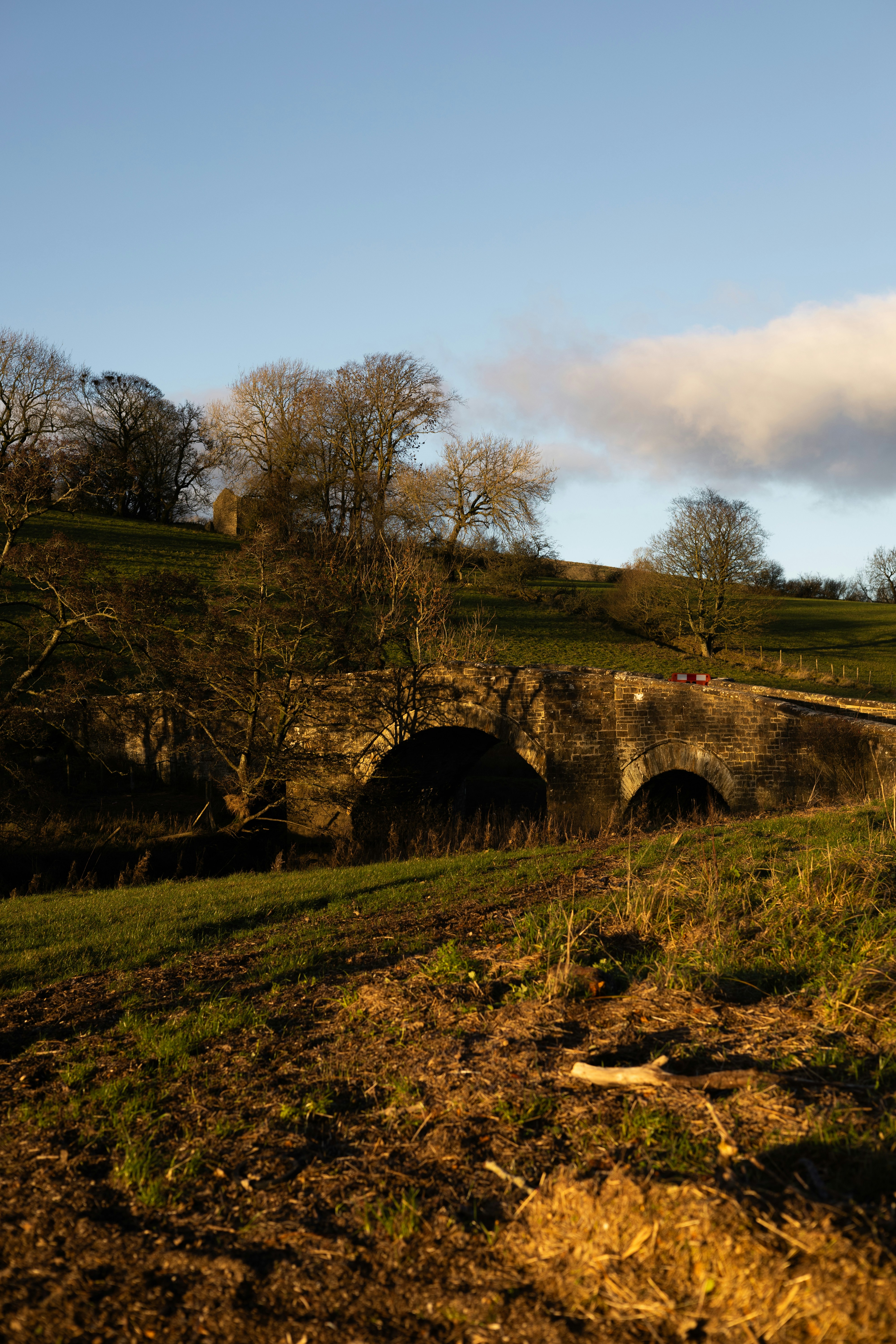 Photo by bethanybeckphotography