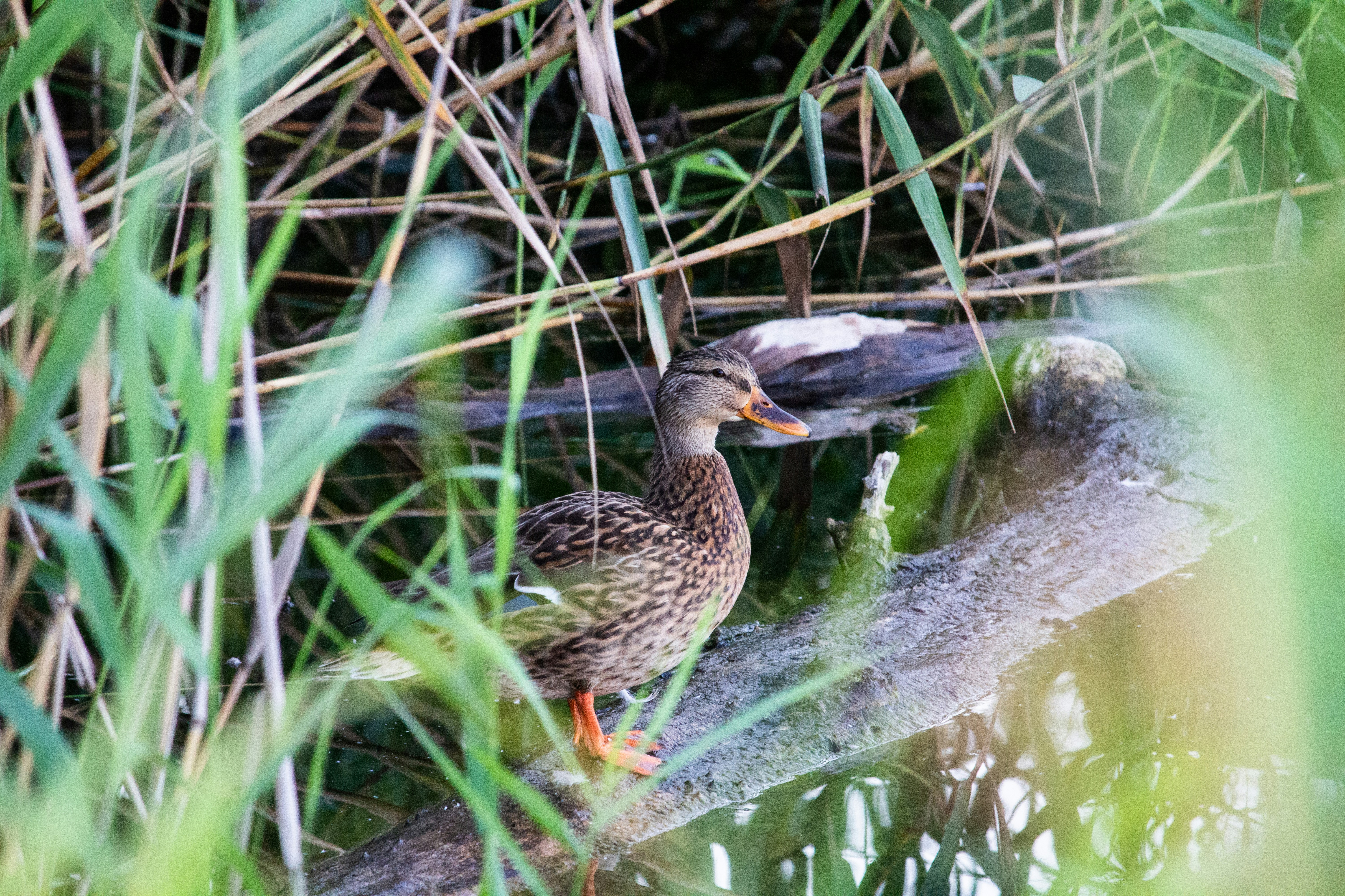 Photo by maciejka_dslr