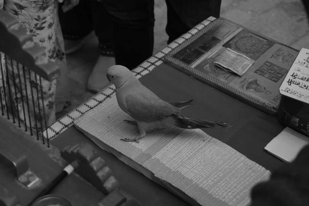 A bird sitting on top of a table next to a book