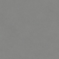 A black and white photo of a bird flying in the sky