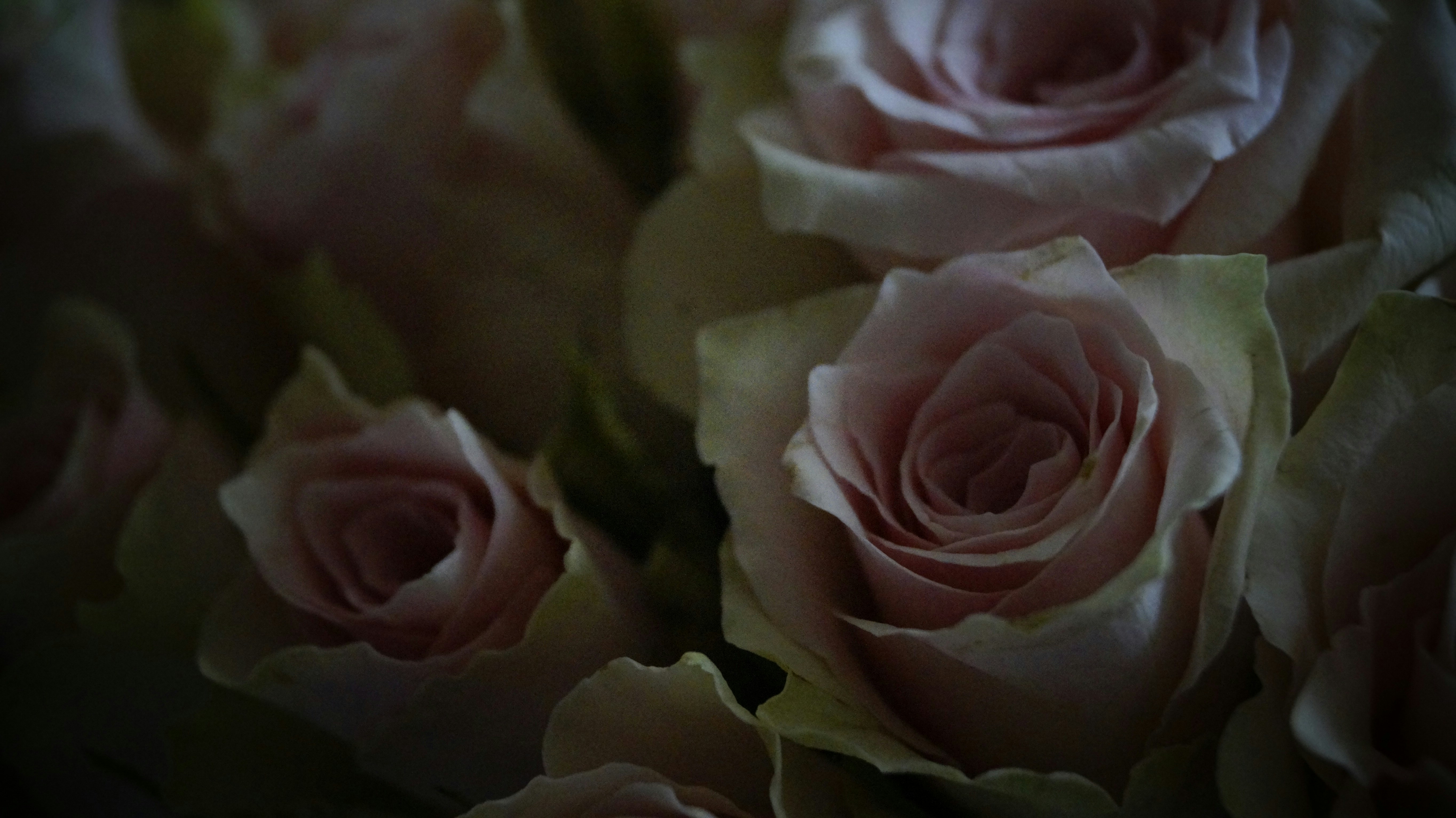 Photo by hannapisareve