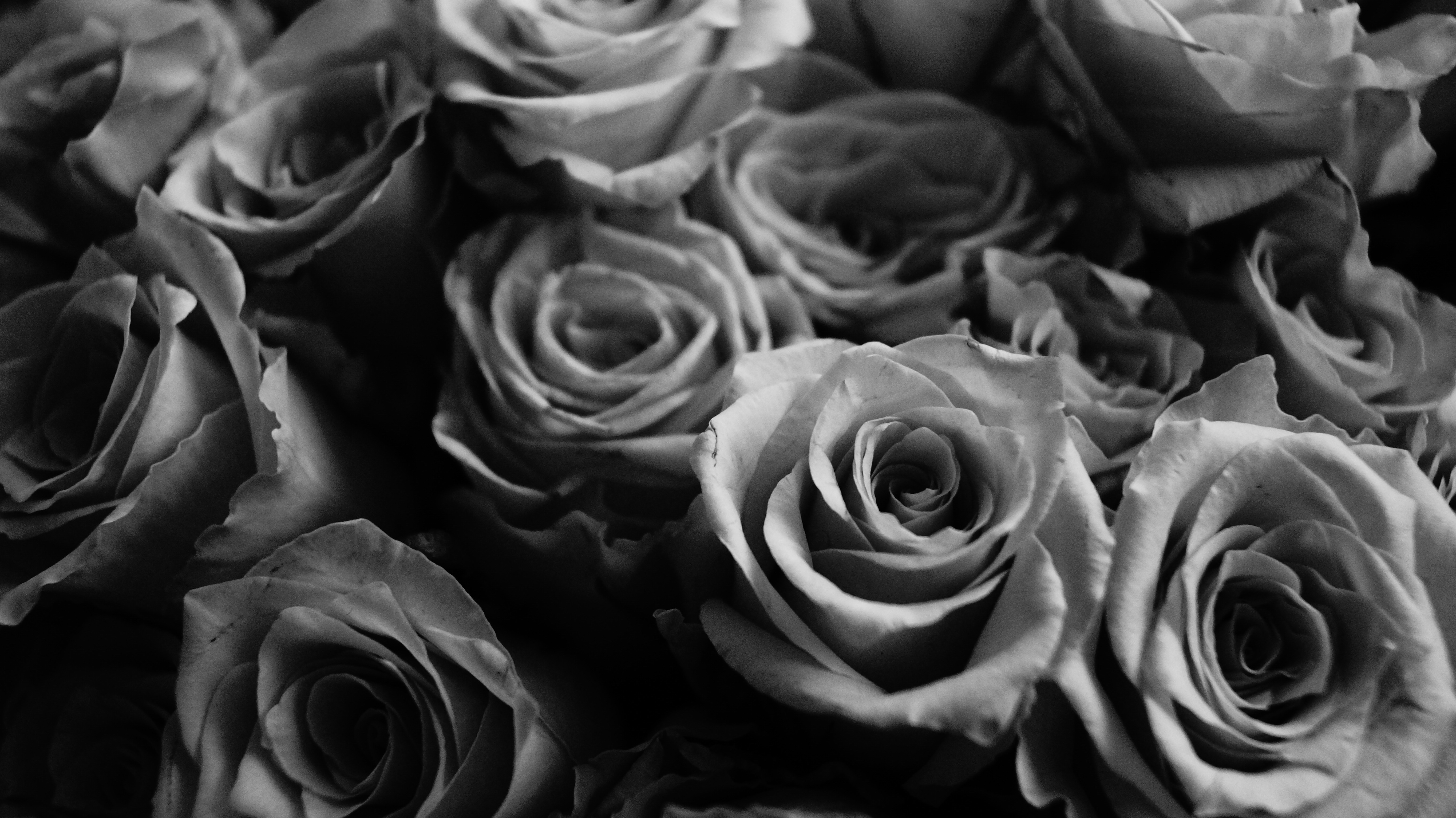 Photo by hannapisareve