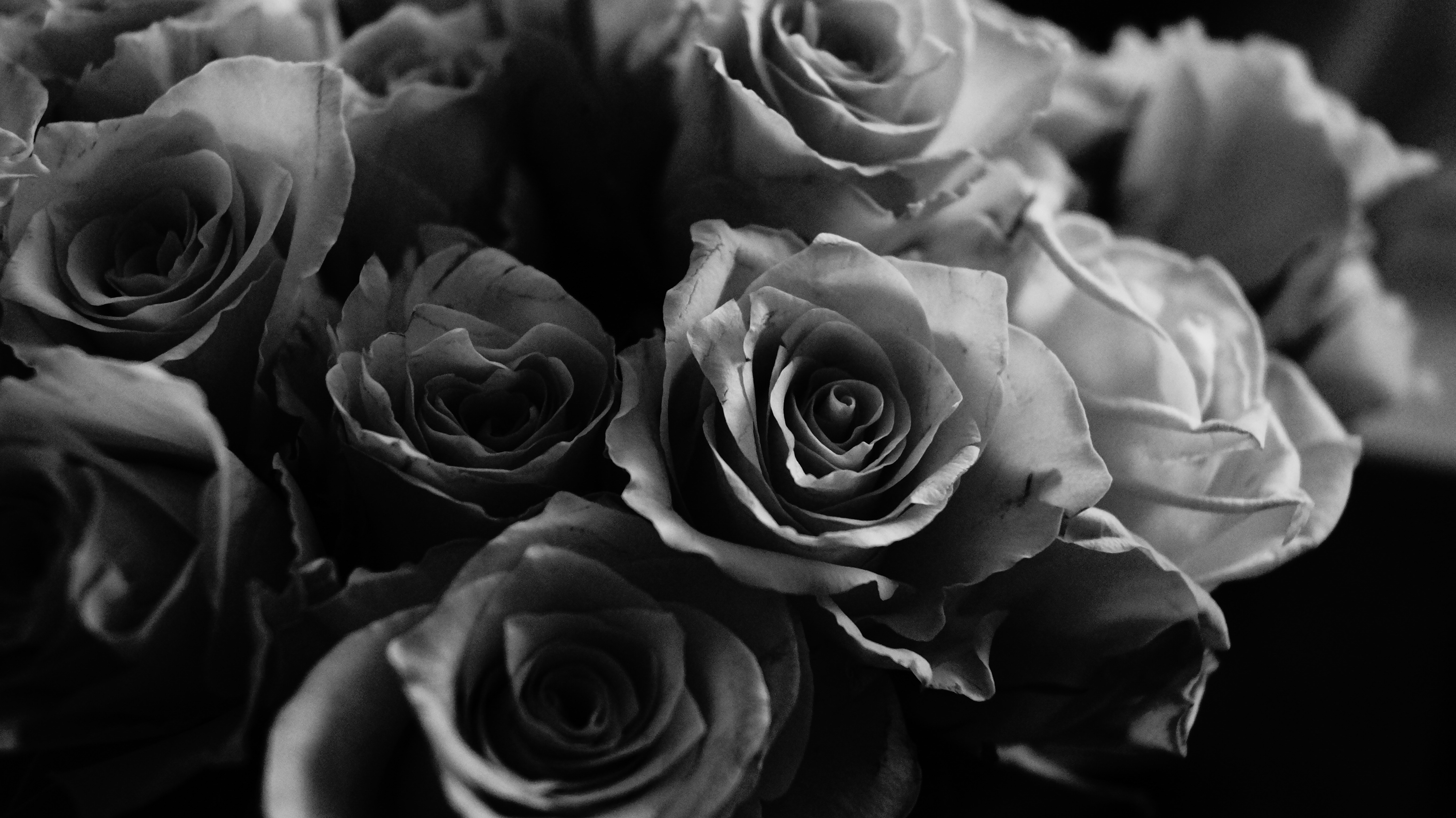 Photo by hannapisareve