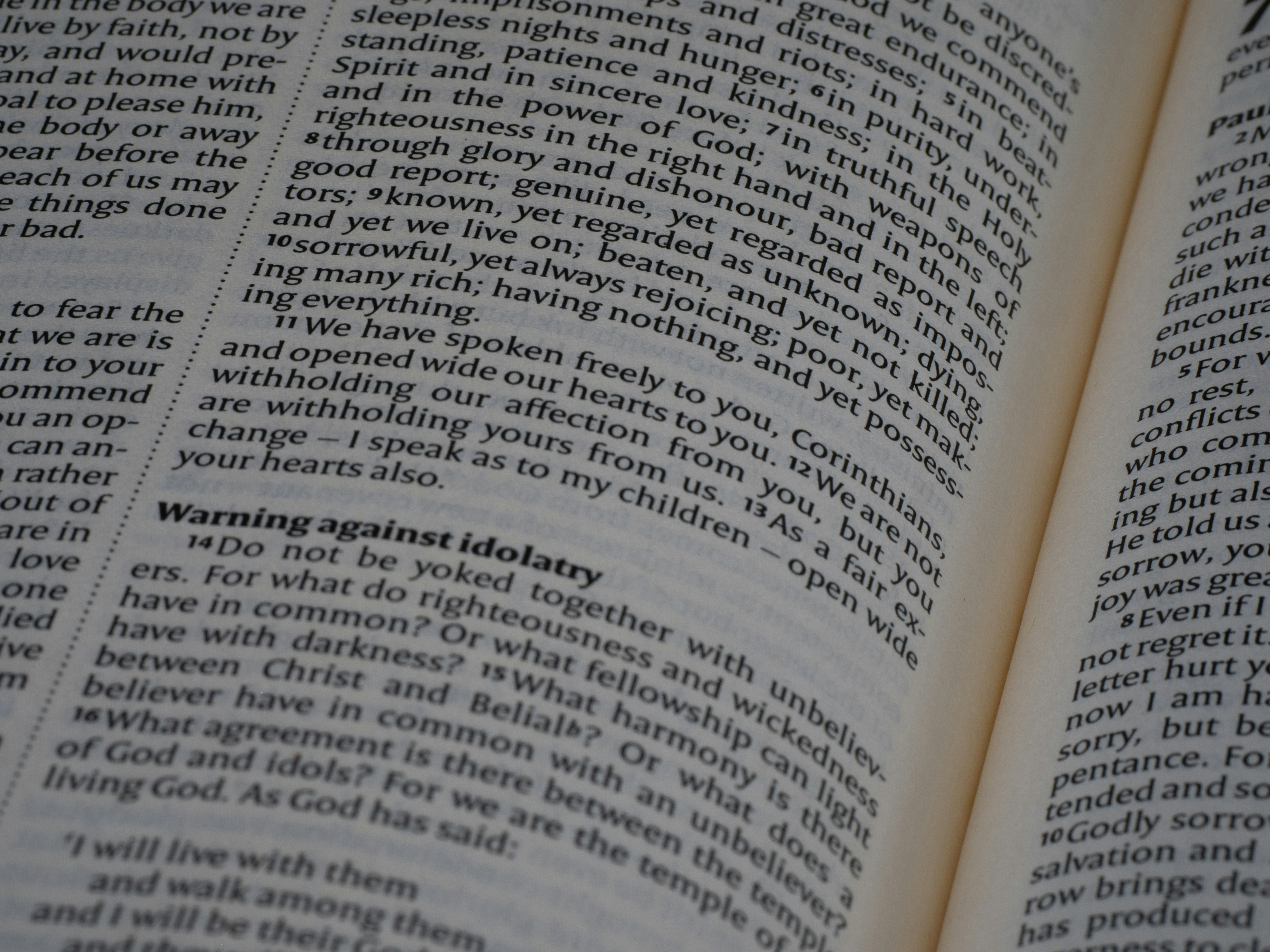 Photo by brett_jordan