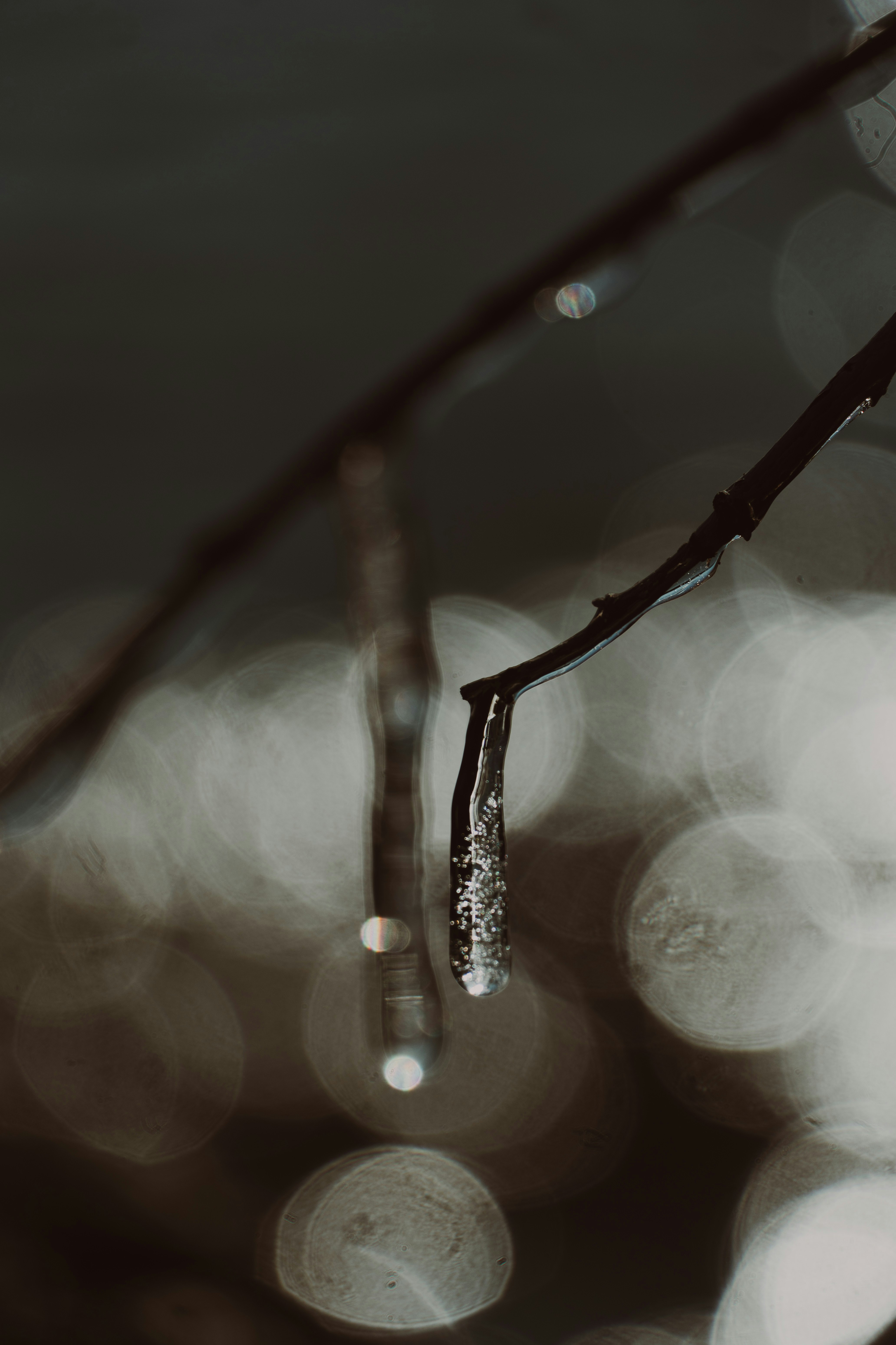 Photo by nishatsamadzai2001