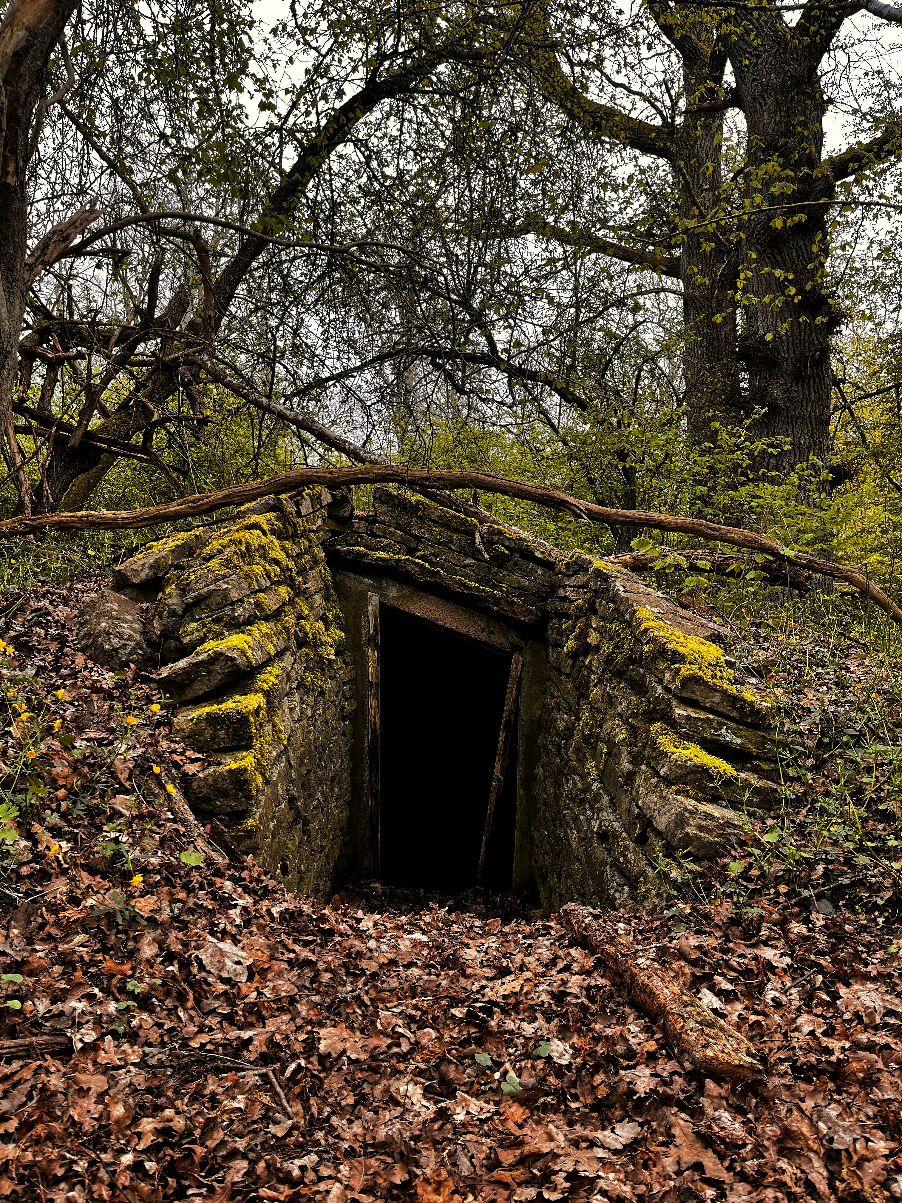 Photo by aline_li_varen