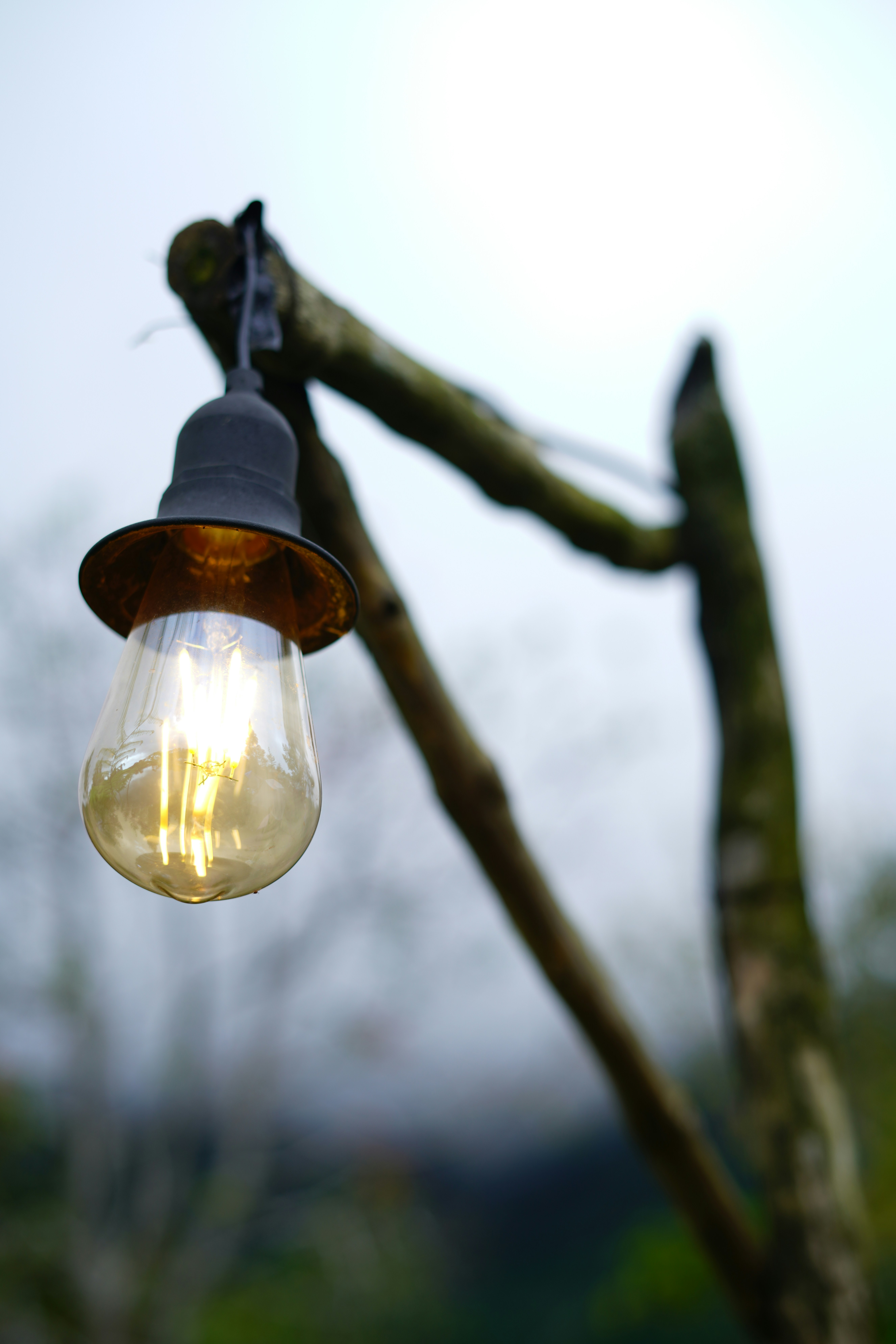 Photo by teukufaza_28