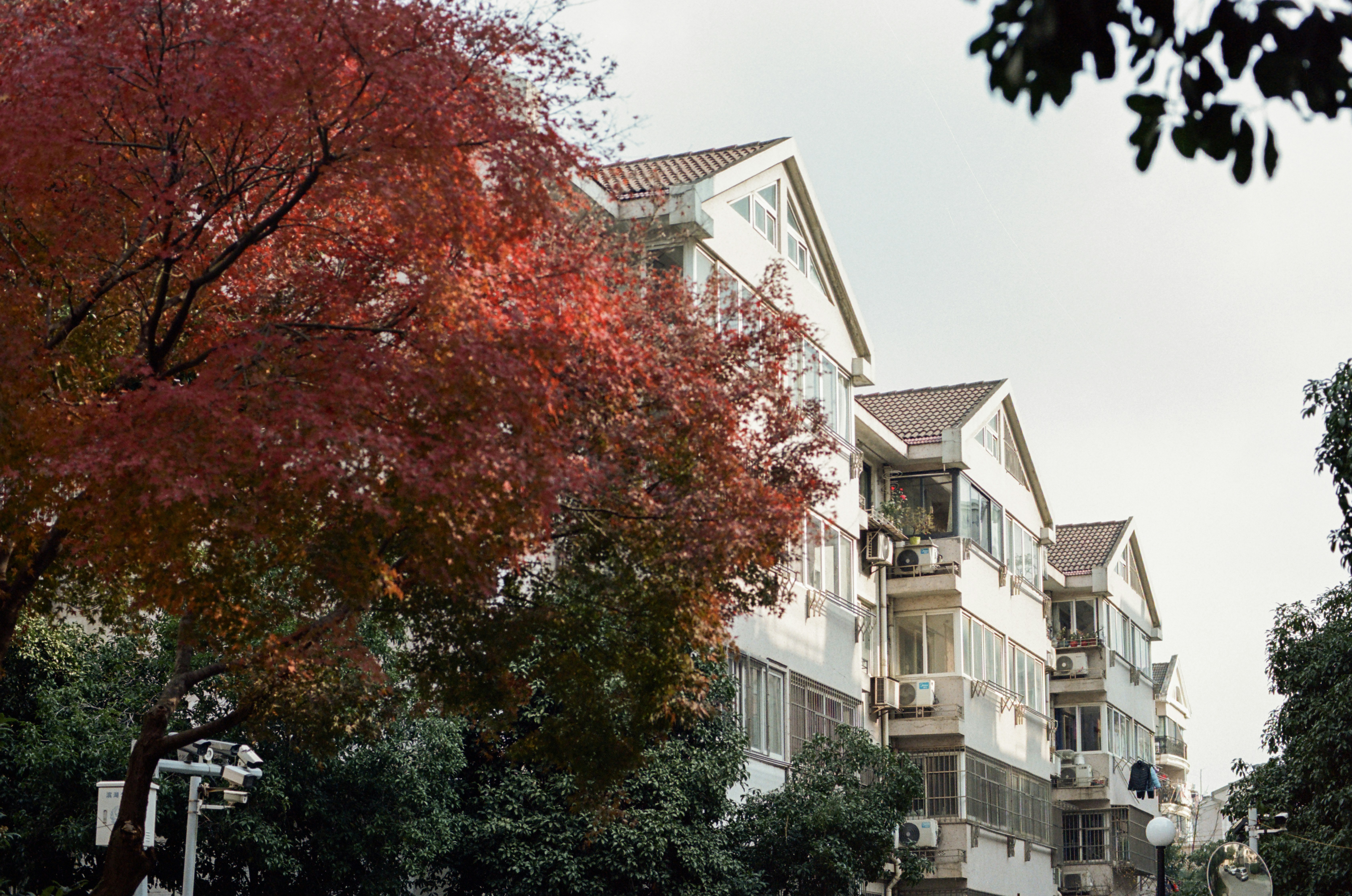 Photo by zhenyao_photo