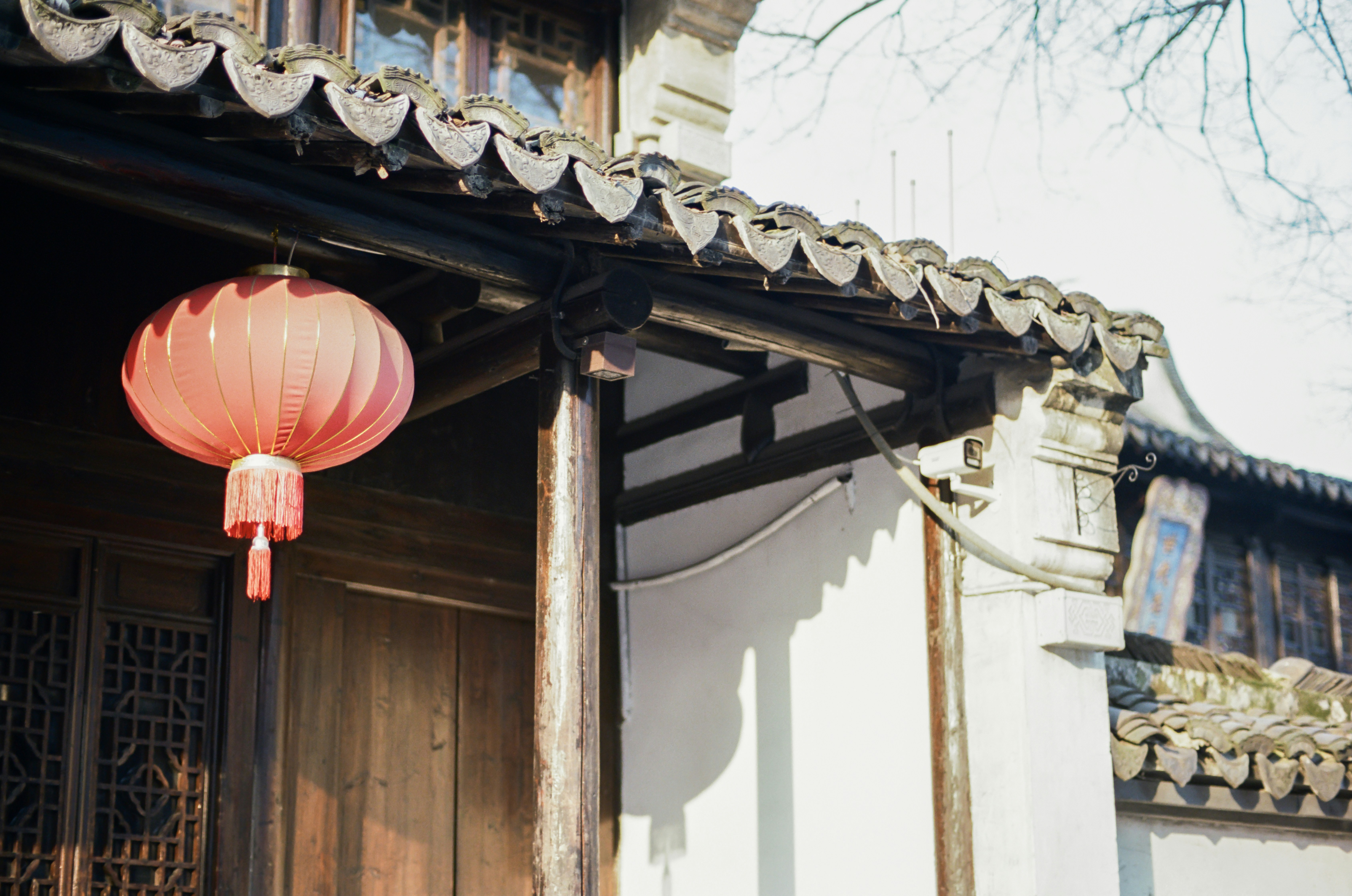 Photo by zhenyao_photo