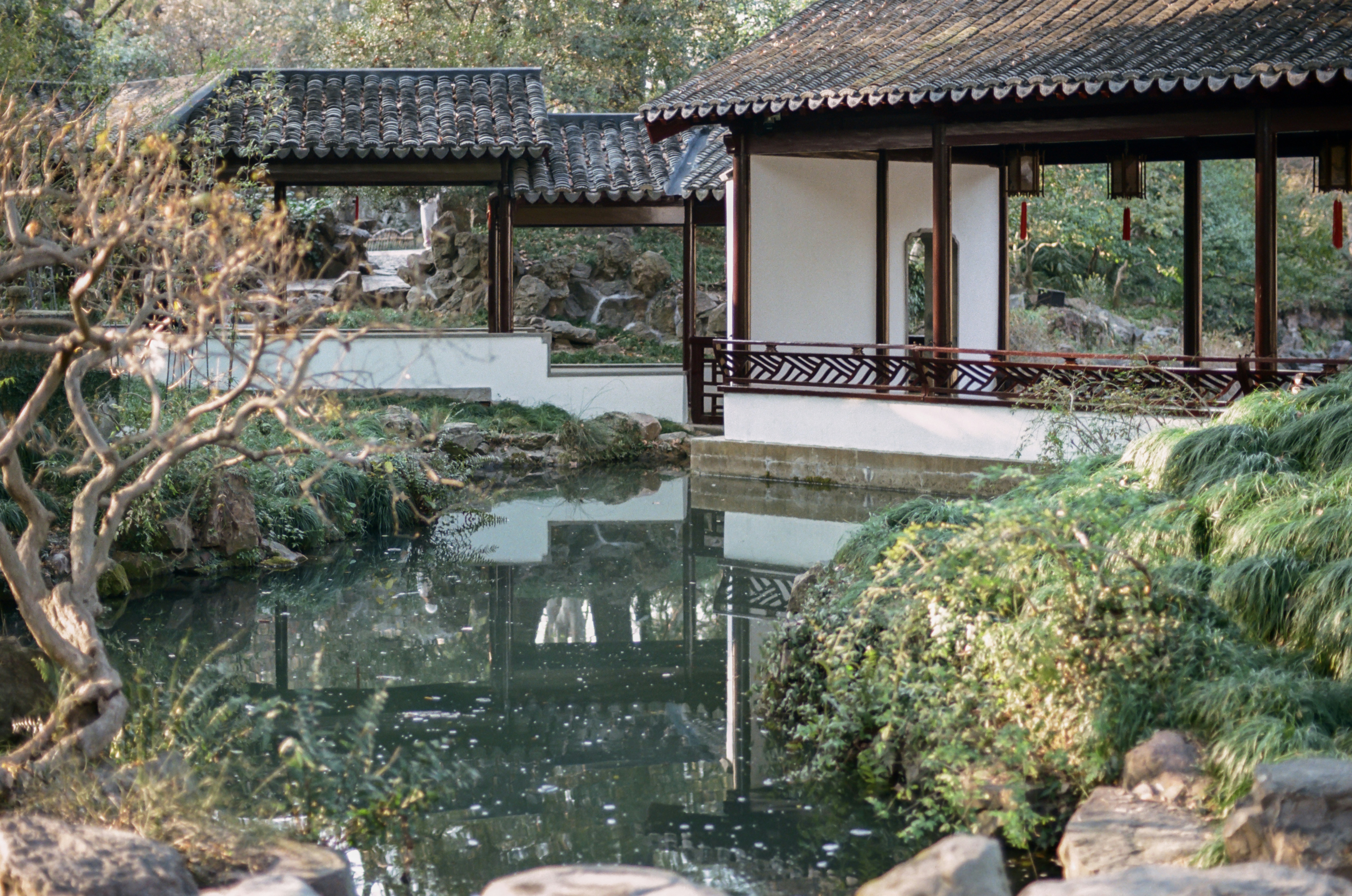 Photo by zhenyao_photo