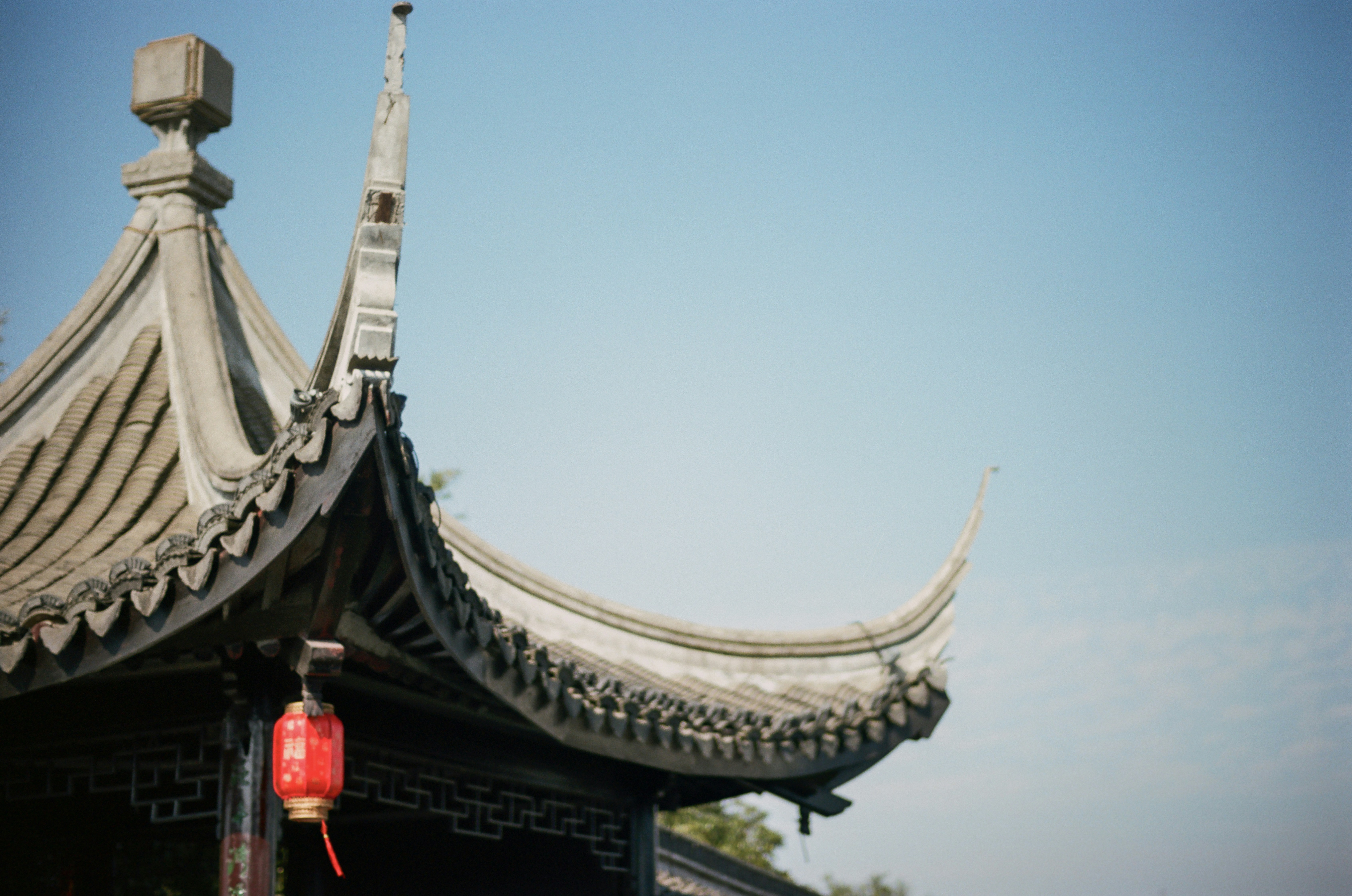 Photo by zhenyao_photo