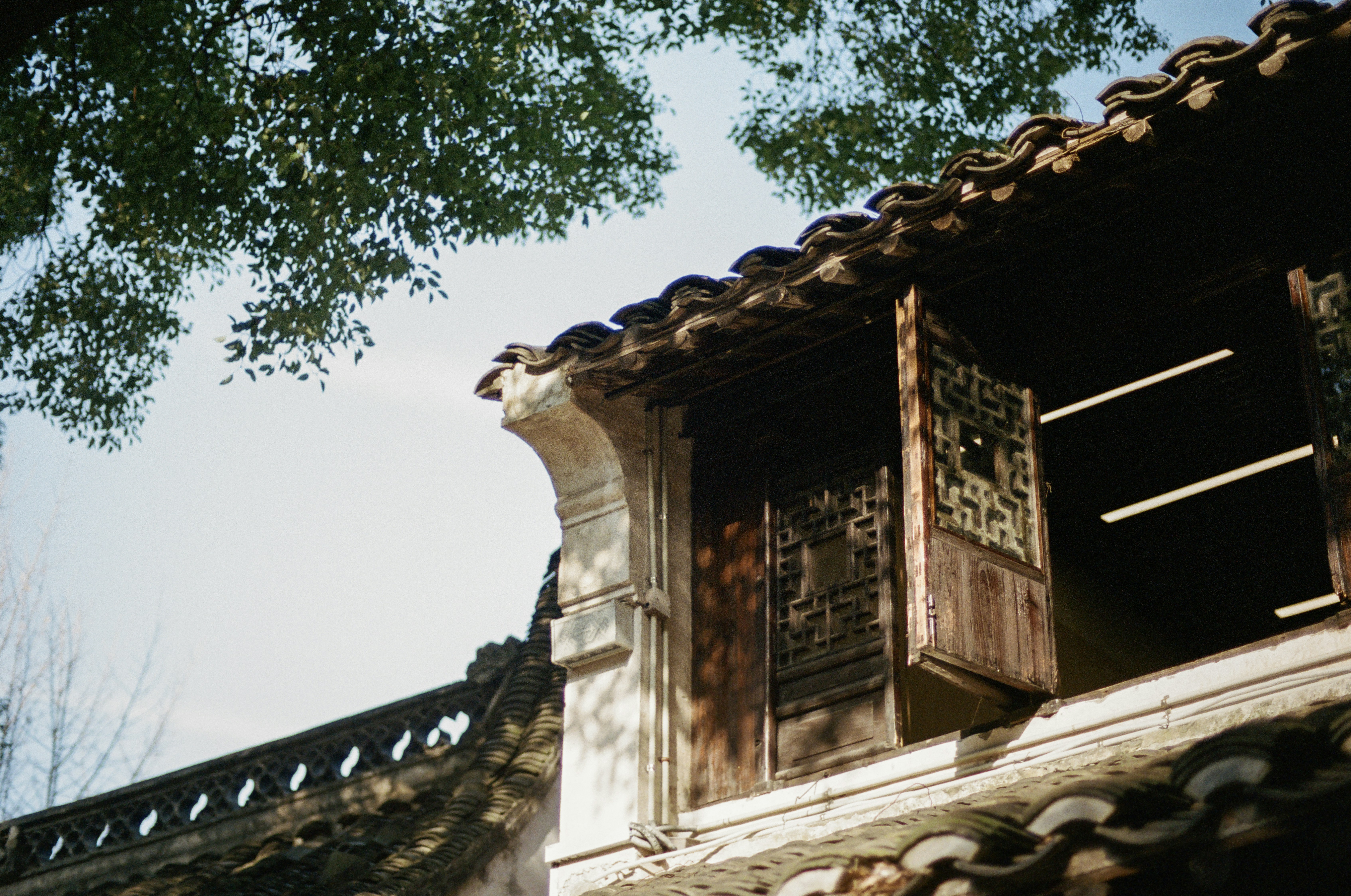 Photo by zhenyao_photo