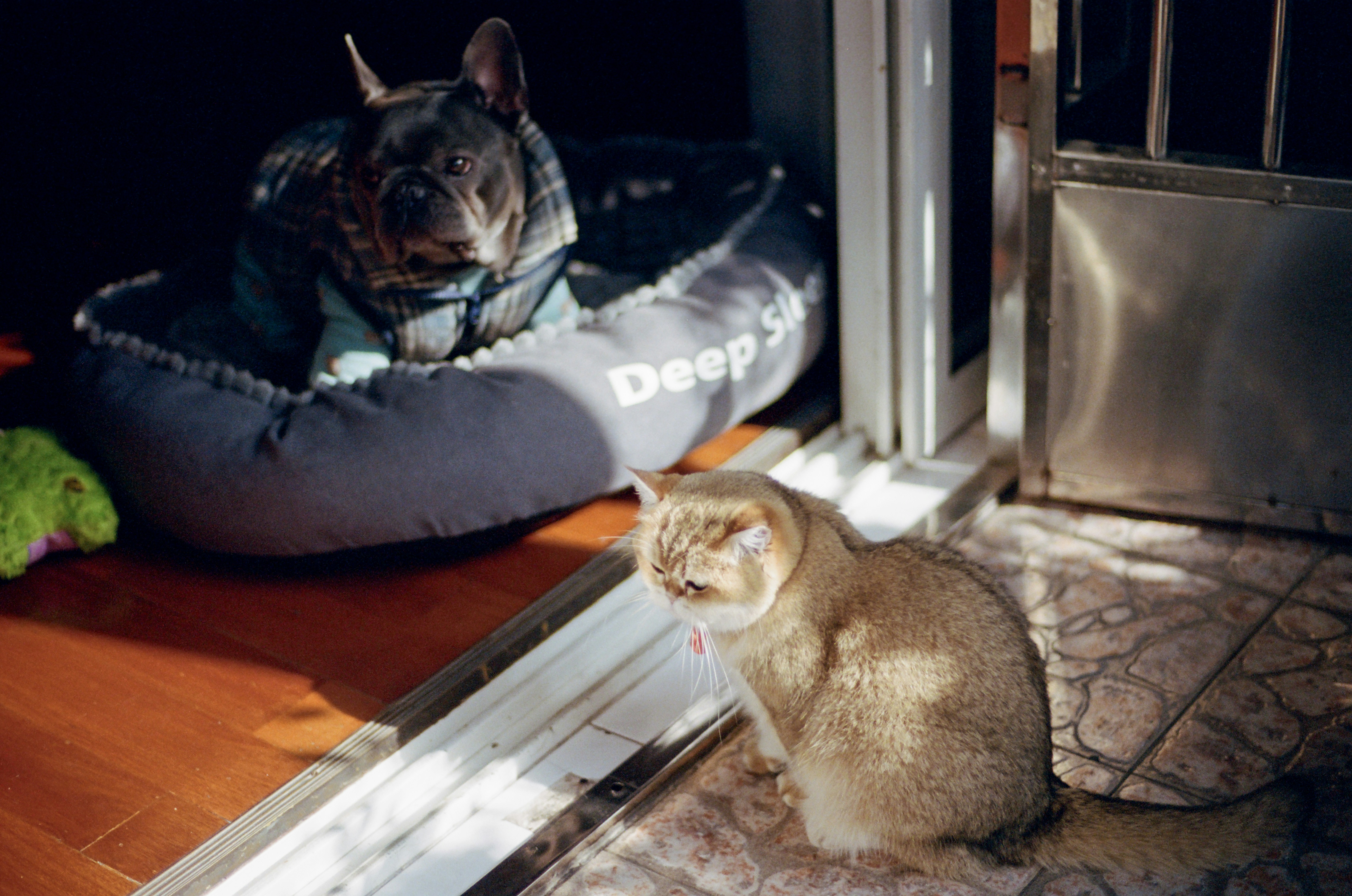 Photo by zhenyao_photo