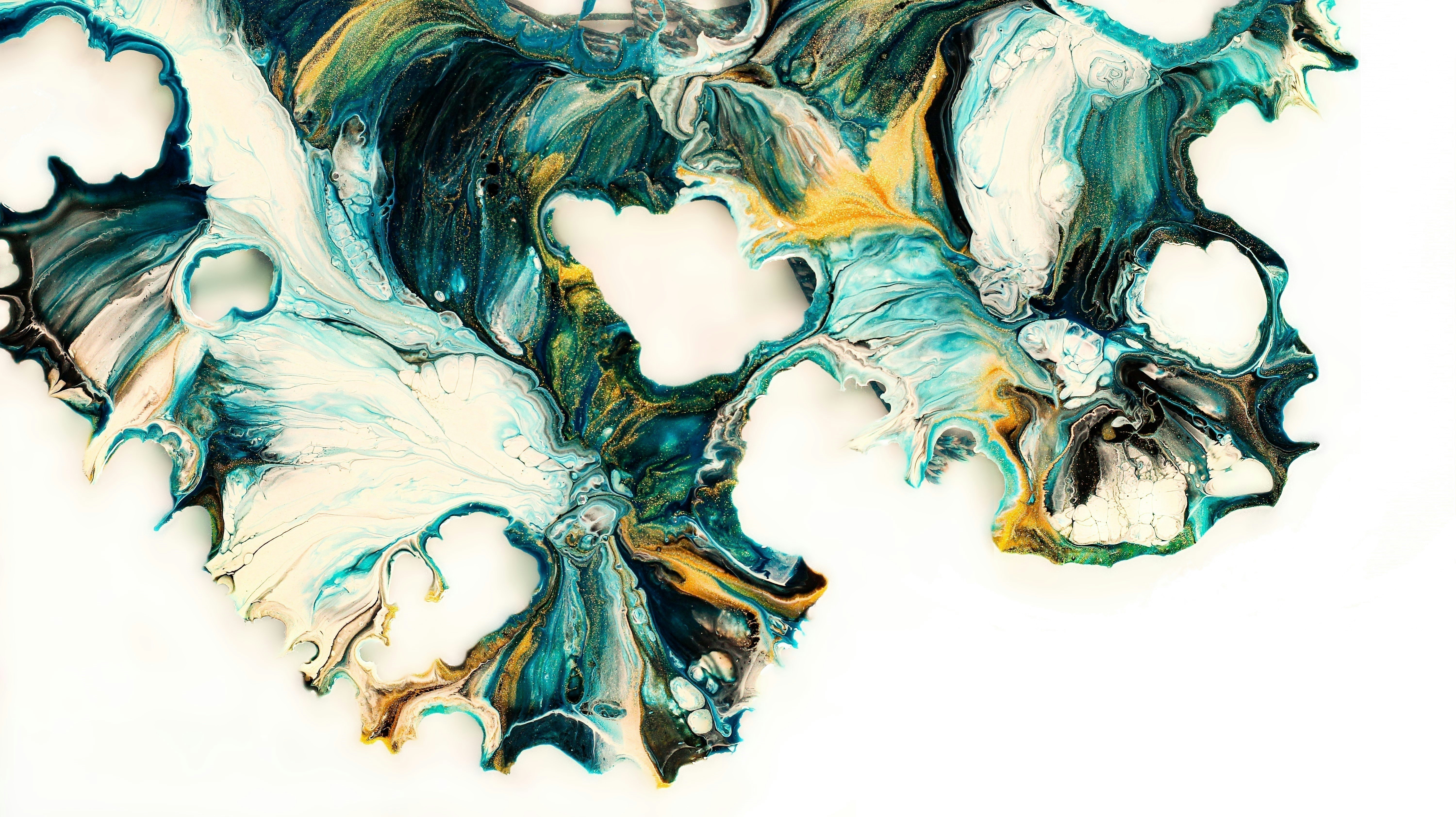 Photo by susan_wilkinson