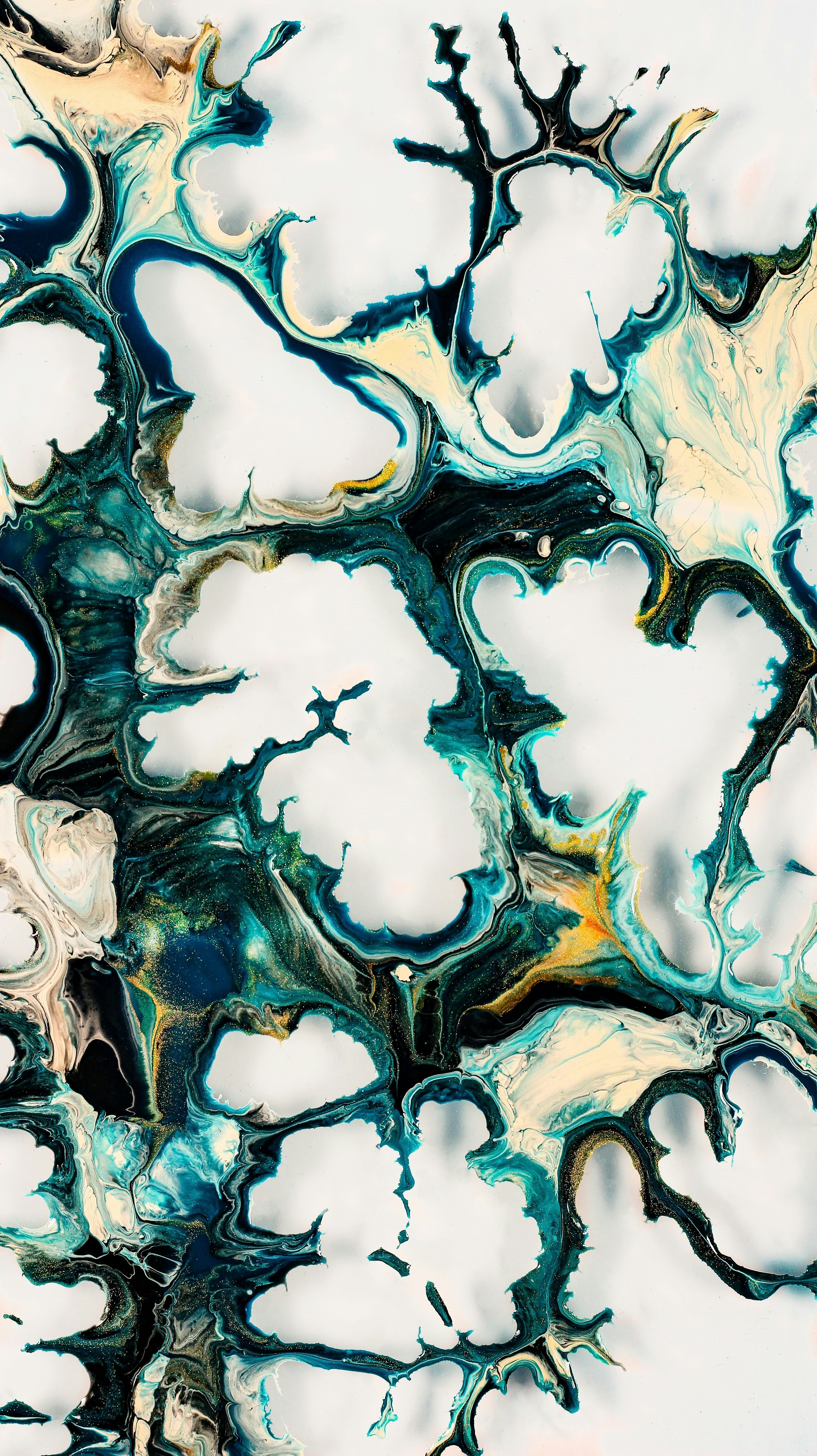 Photo by susan_wilkinson