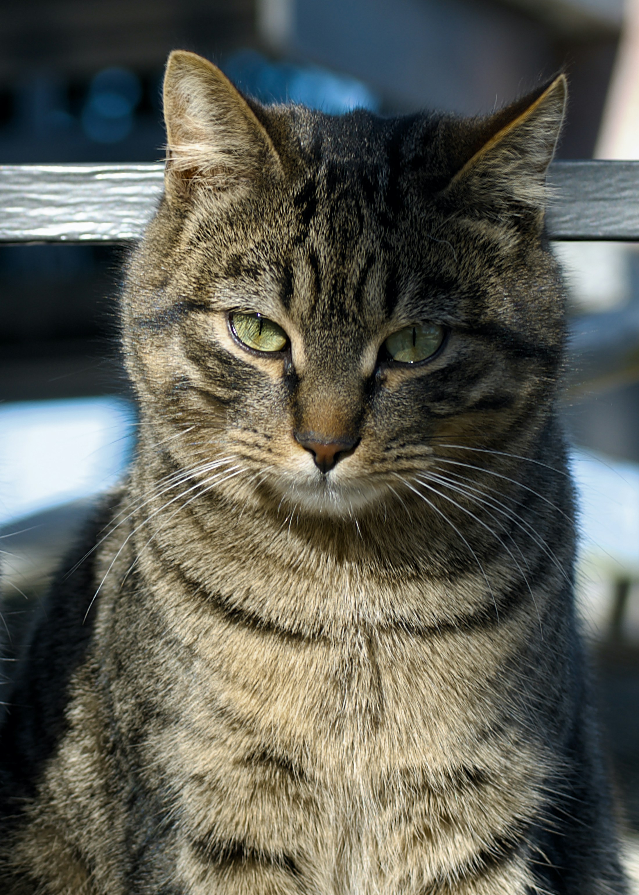 Photo by mariobeducci