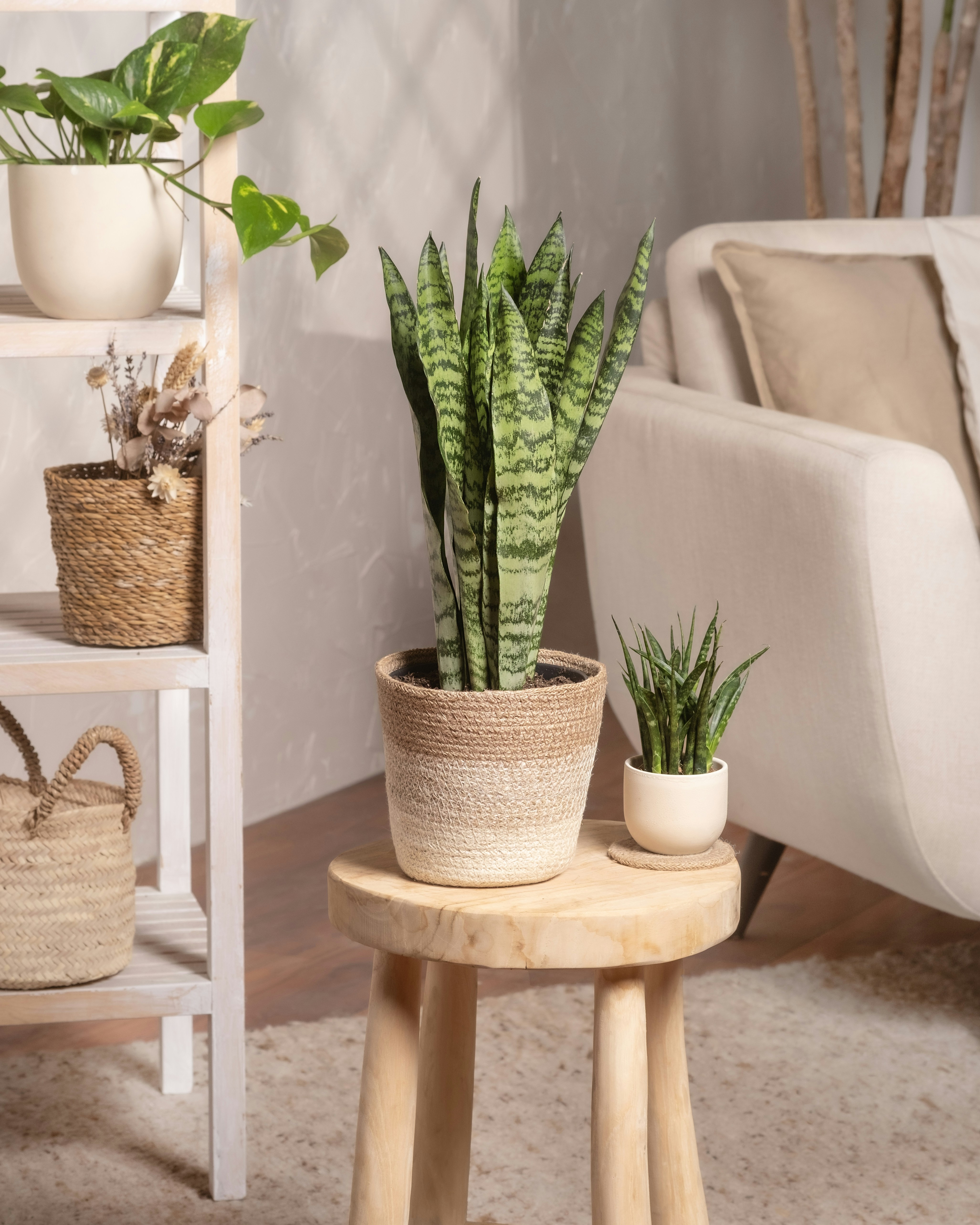 Photo by feeypflanzen