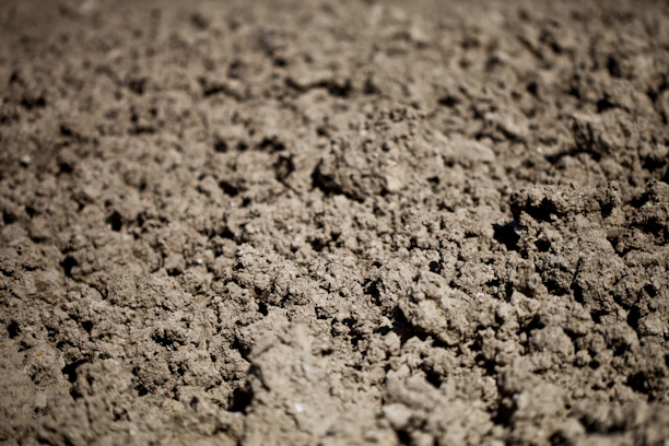 A close up of a dirt surface with small holes