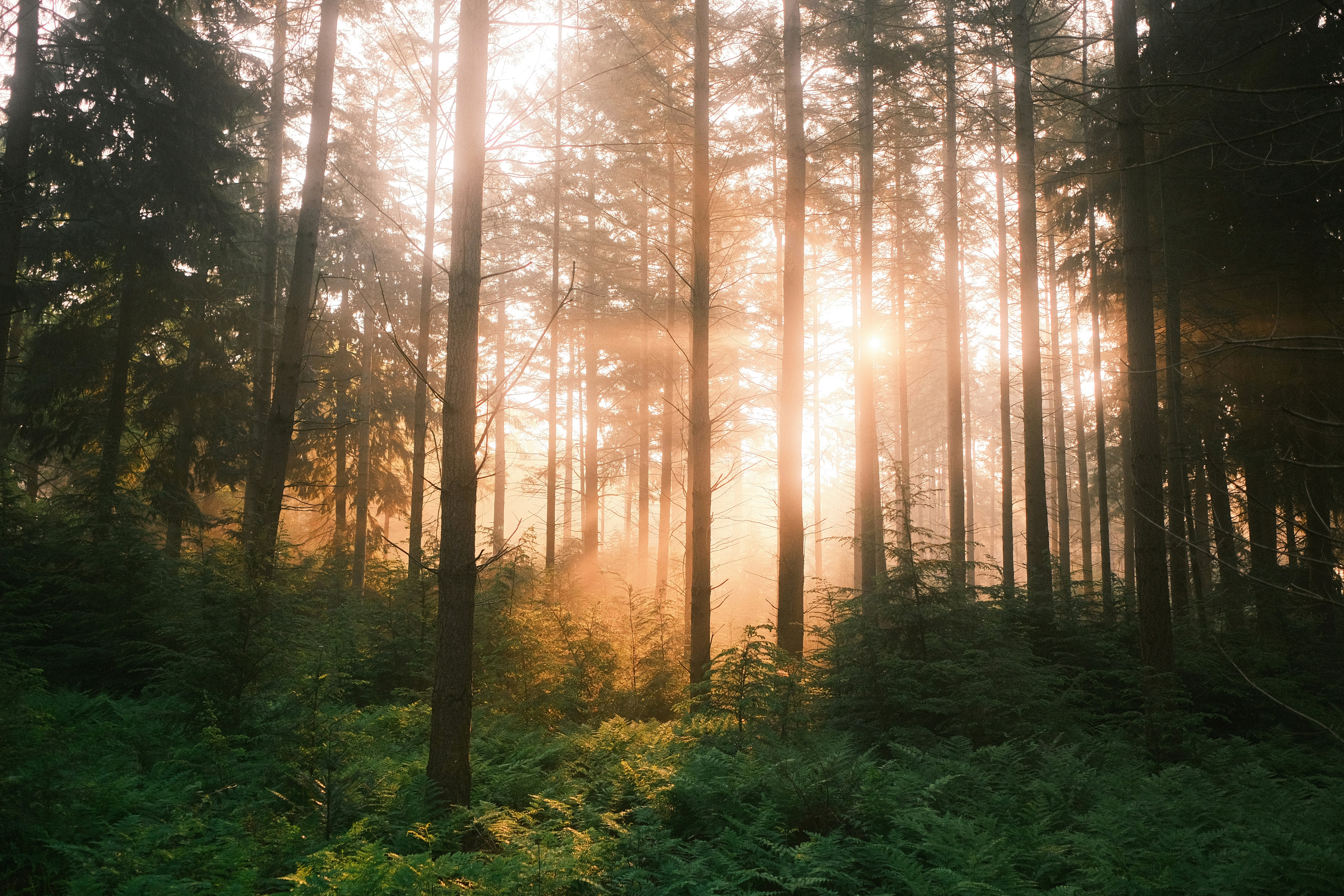 Photo by visualsbying