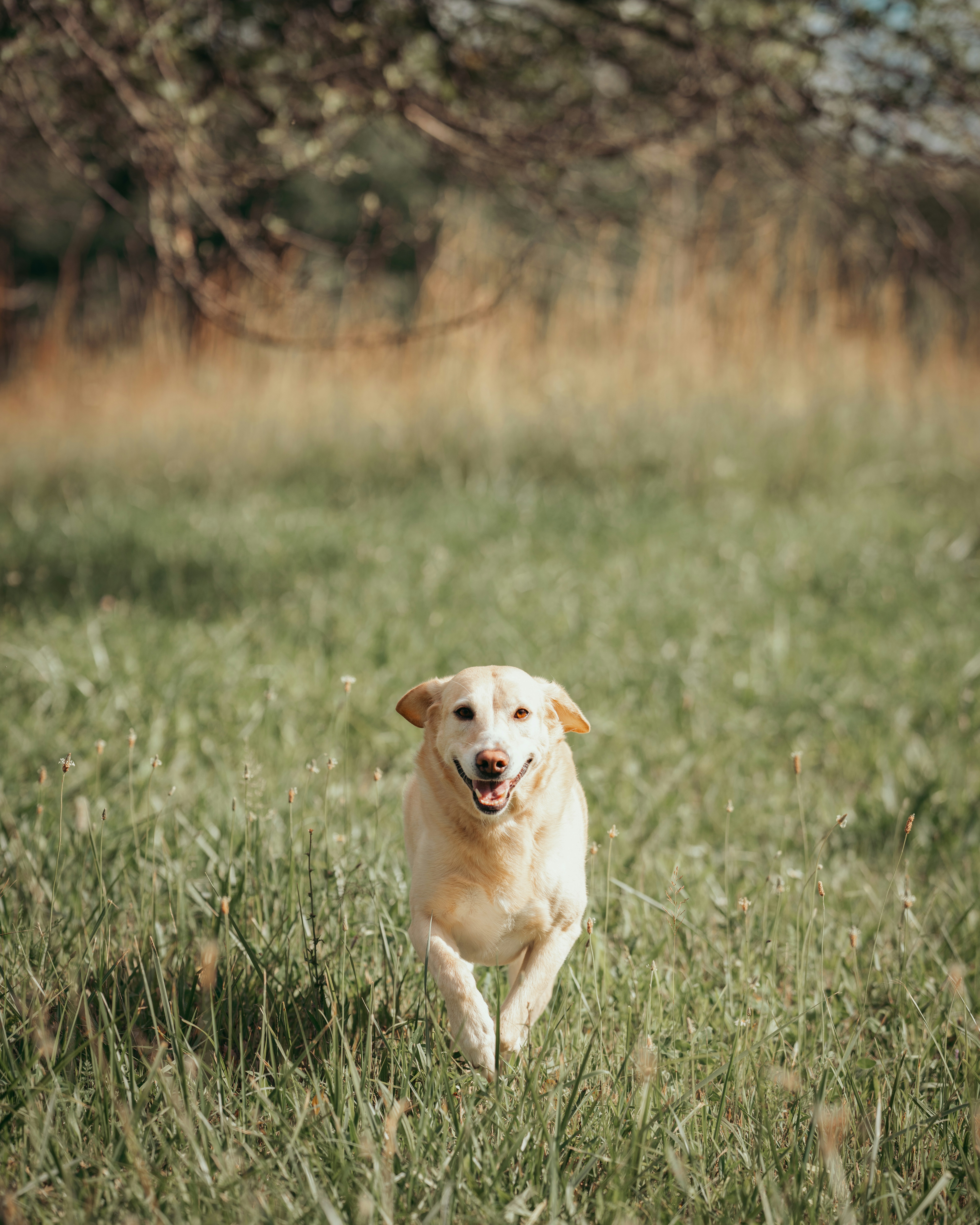 Photo by bugsandslugs