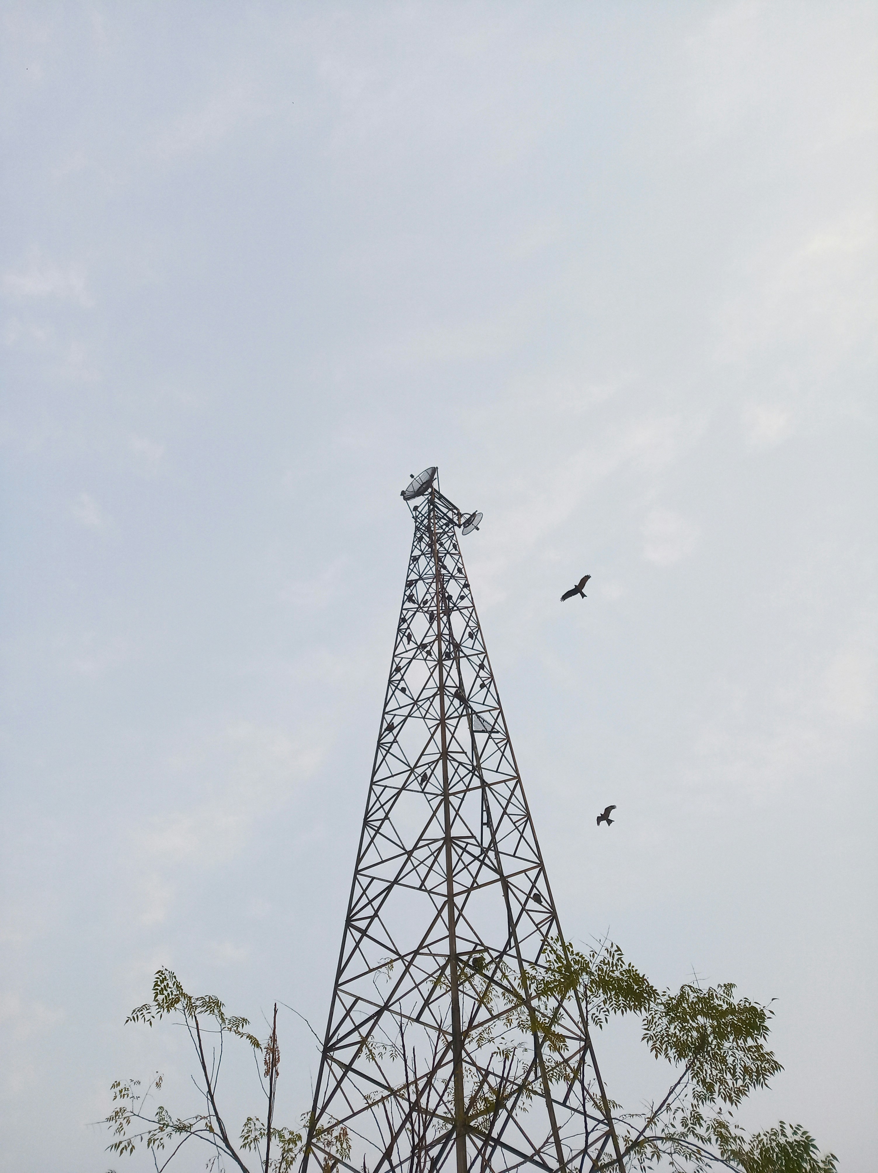 Husain Akram (@husain_akram) | Unsplash Photo Community