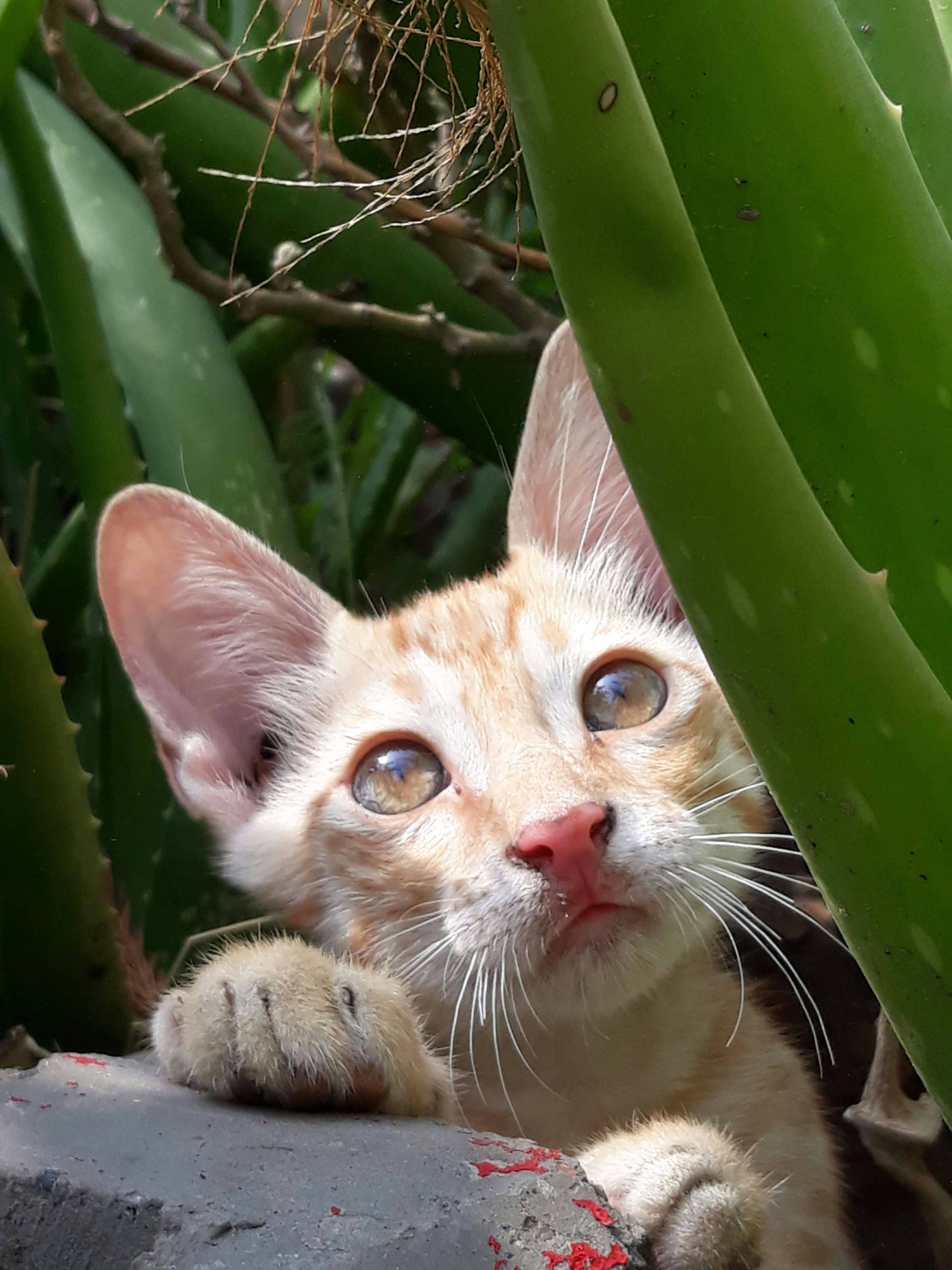 Photo by atulgraphy009