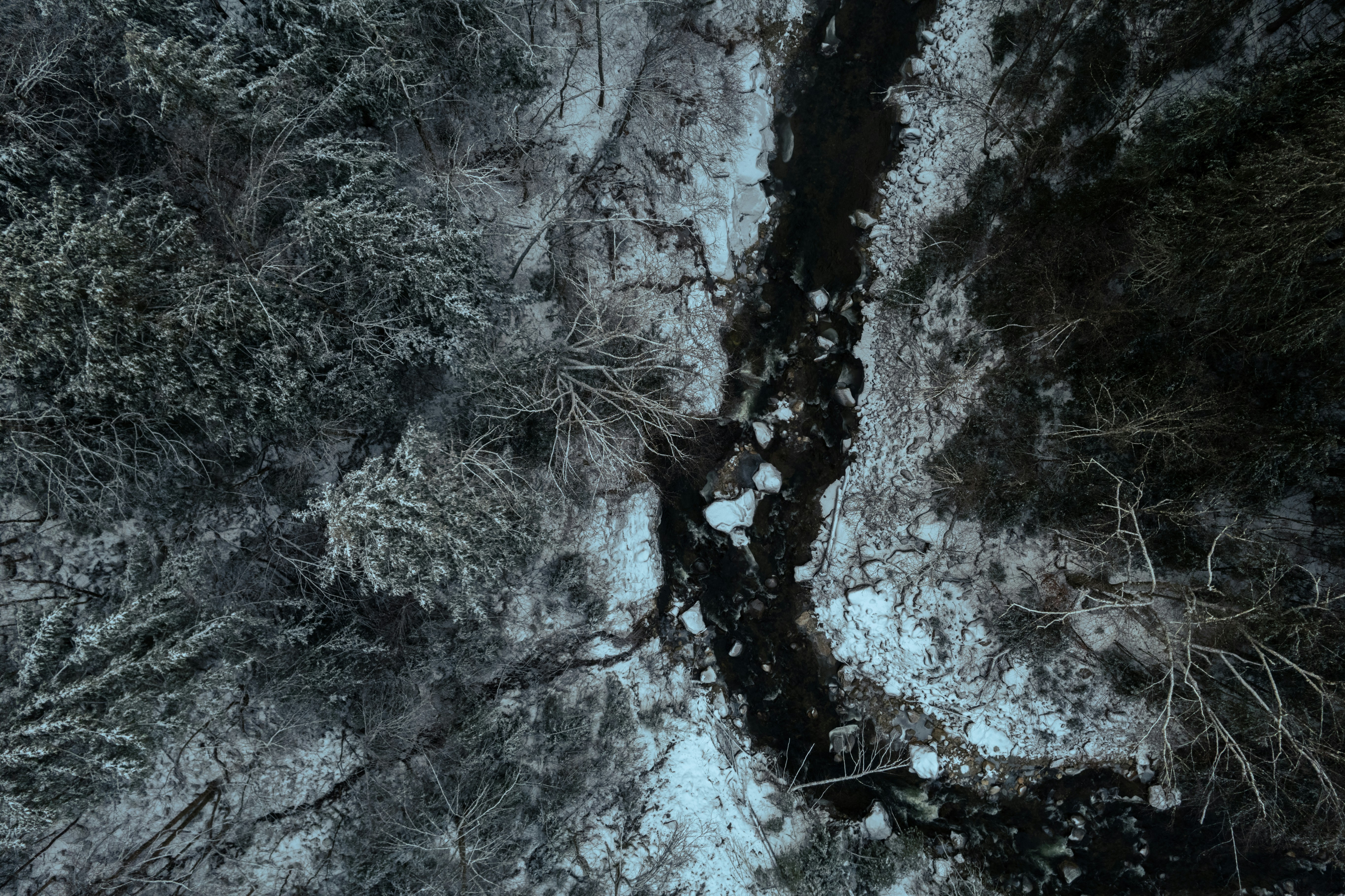 Photo by andrewkusakin