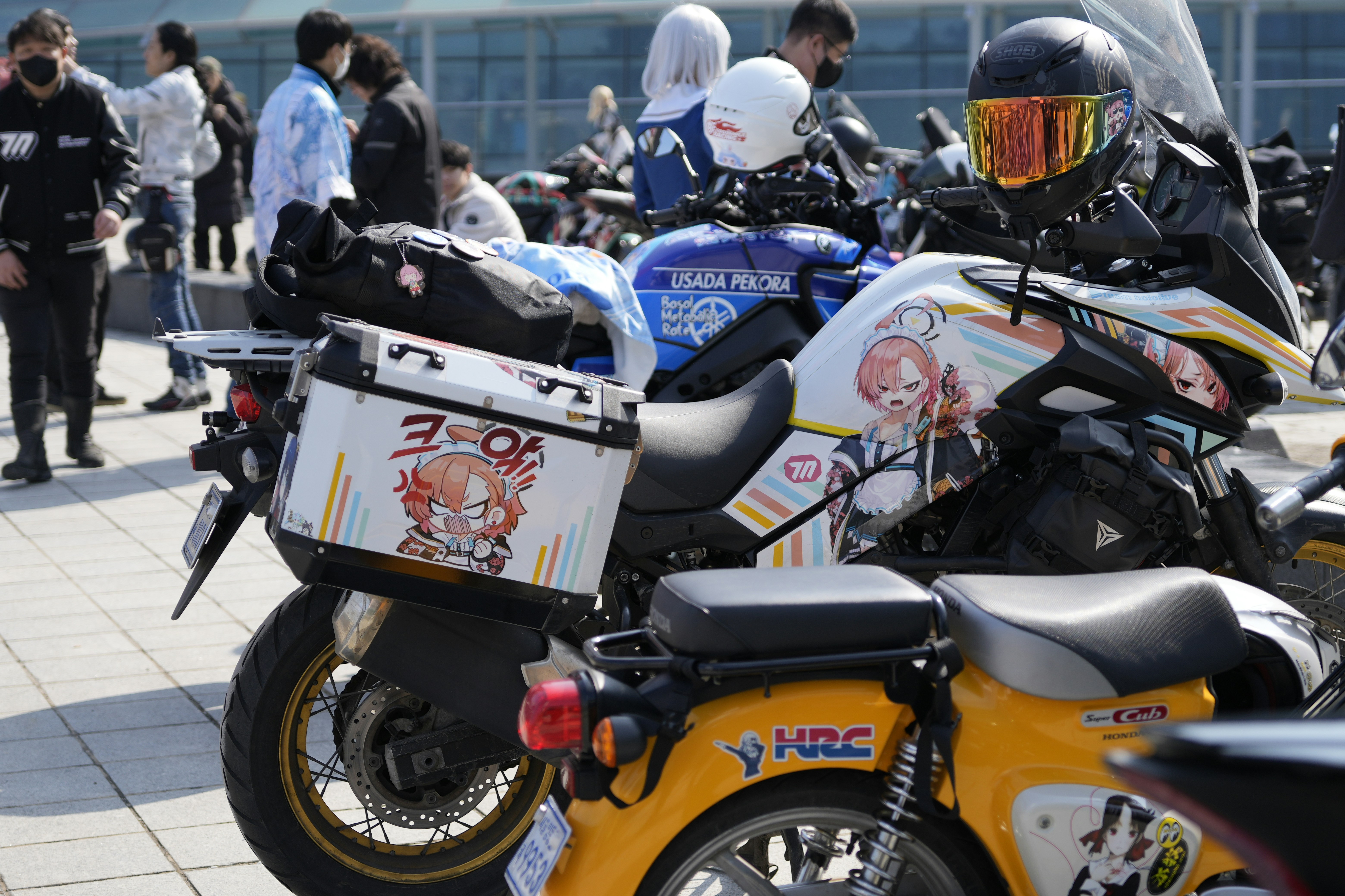 Honda Torneo 상세