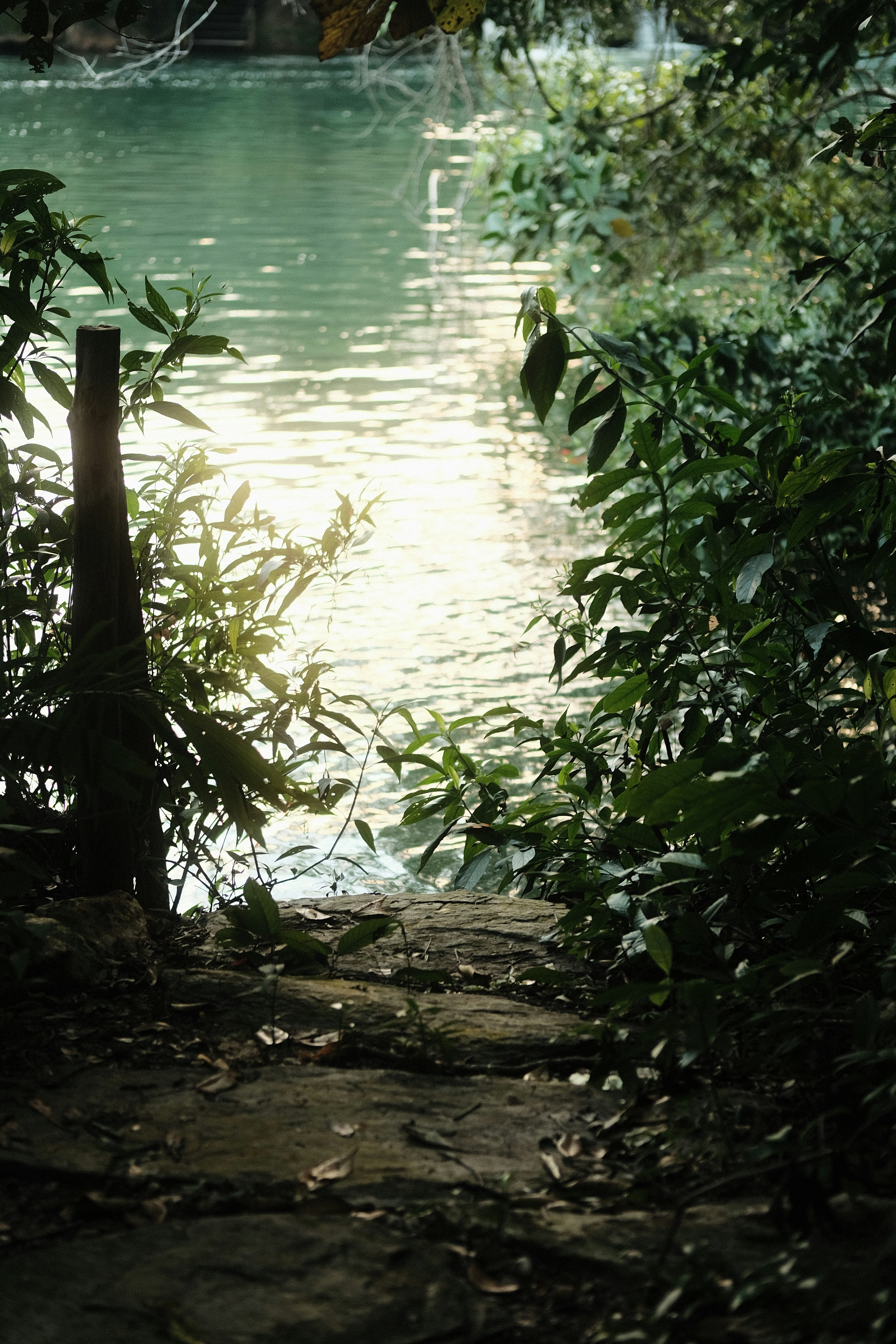 Eine Holzbank, die neben einem Gewässer sitzt