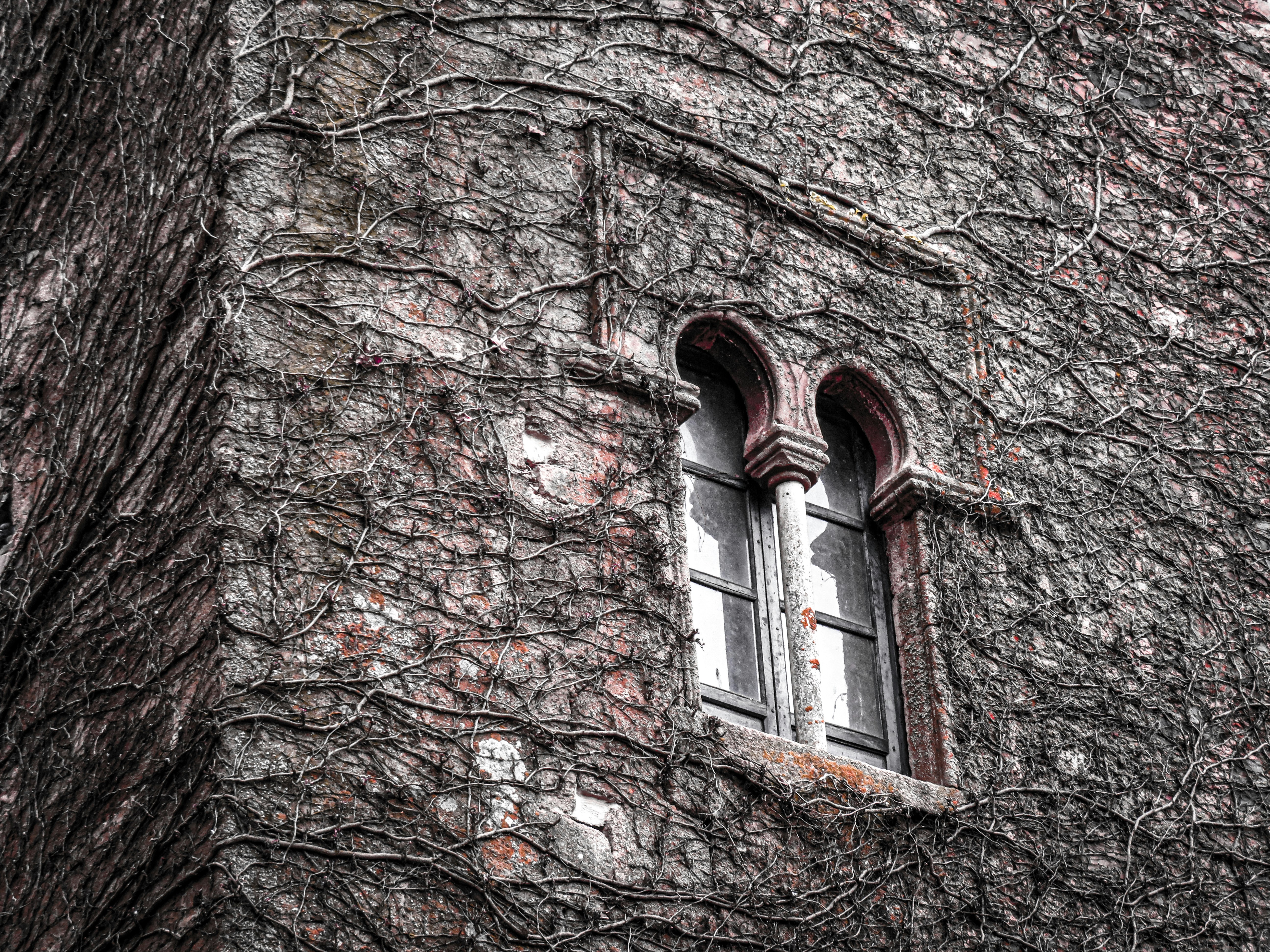 Photo by jgcachafeiro