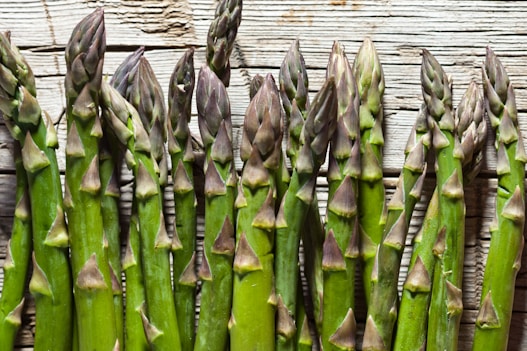 A bunch of asparagus growing in a garden