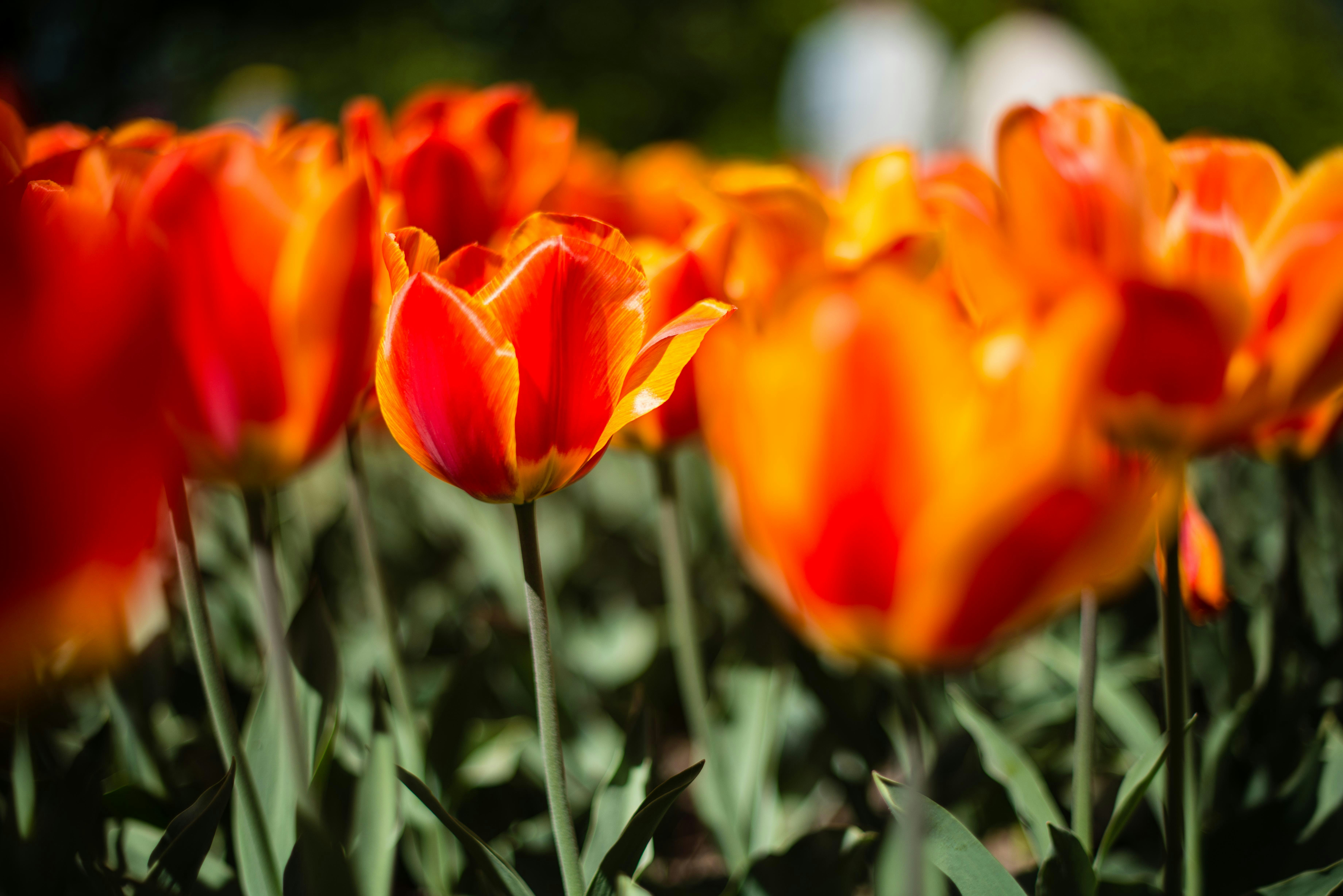 Photo by lesnondupeserrent